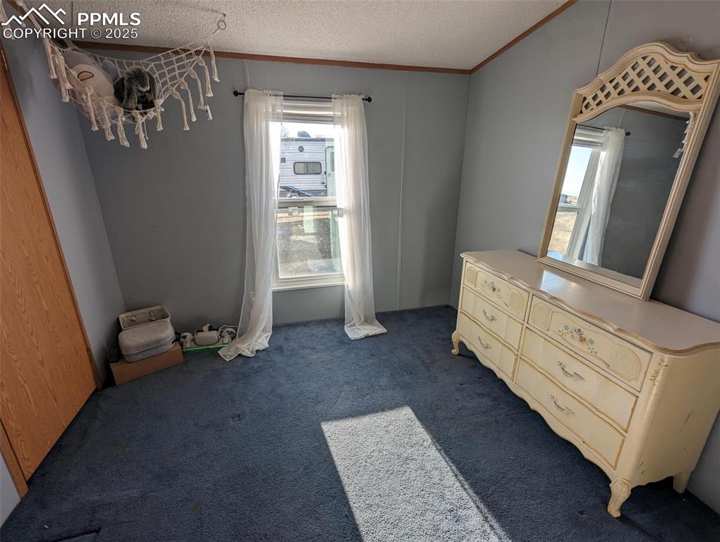 23580 Murphy Road Calhan, CO 80808 - Photo 14 of 23