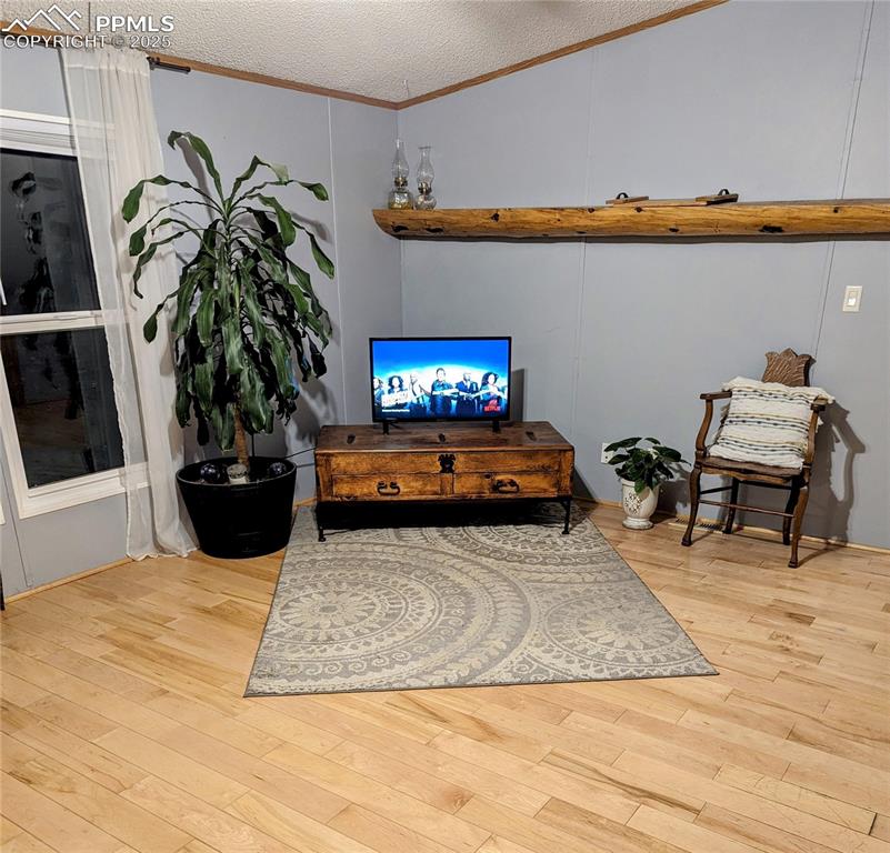 23580 Murphy Road Calhan, CO 80808 - Photo 6 of 23