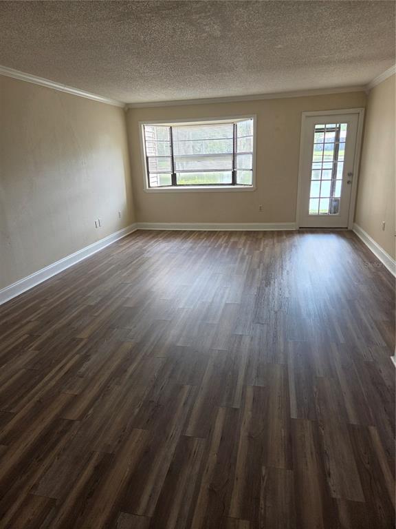 12025 Proctor Loop, Unit 2 New Port Richey, FL 34654 - Photo 9 of 14 Gallery Image 9