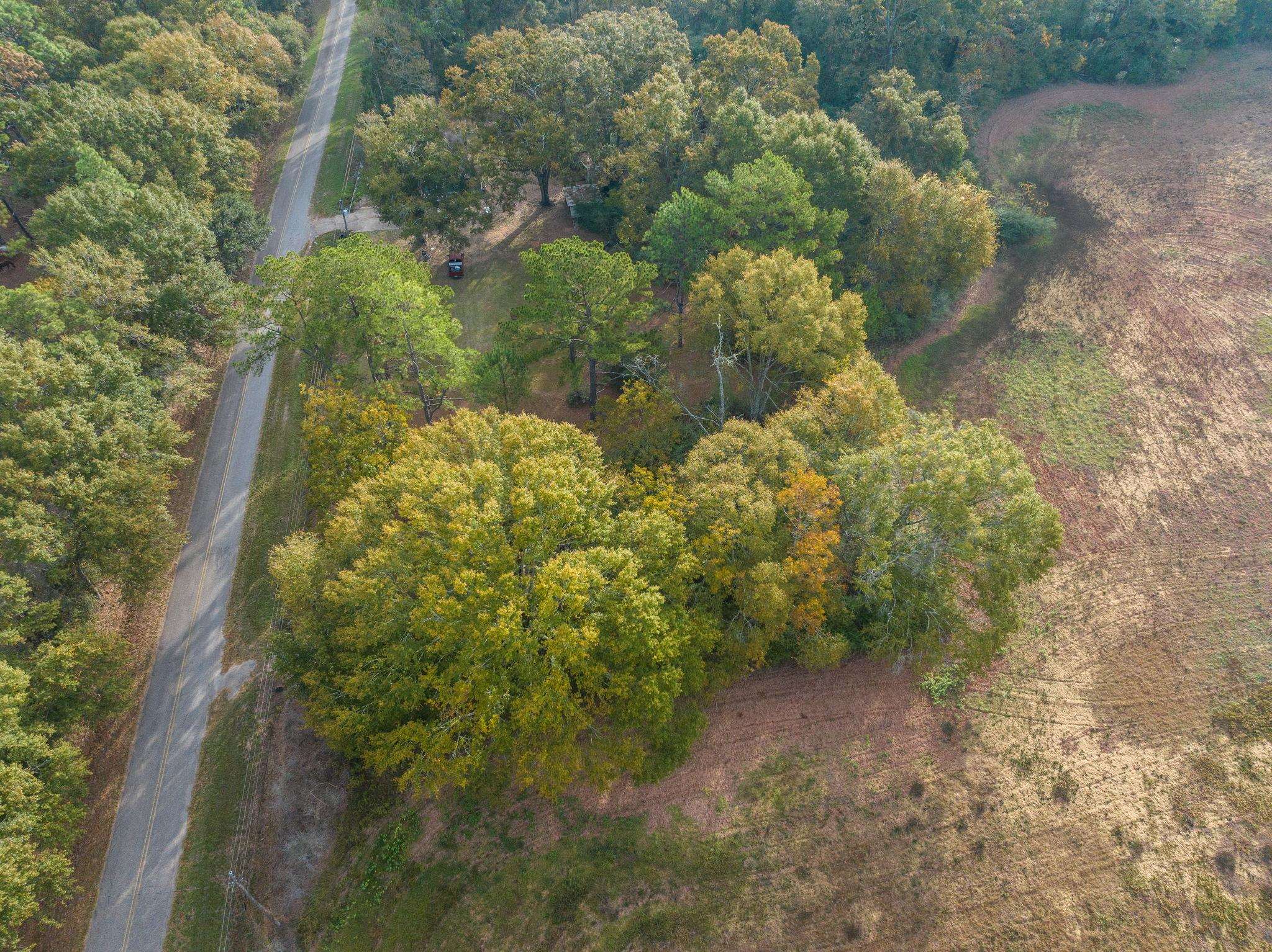 16200 Khola Stewart Road Bay Minette, AL 36507 - Photo 8 of 15