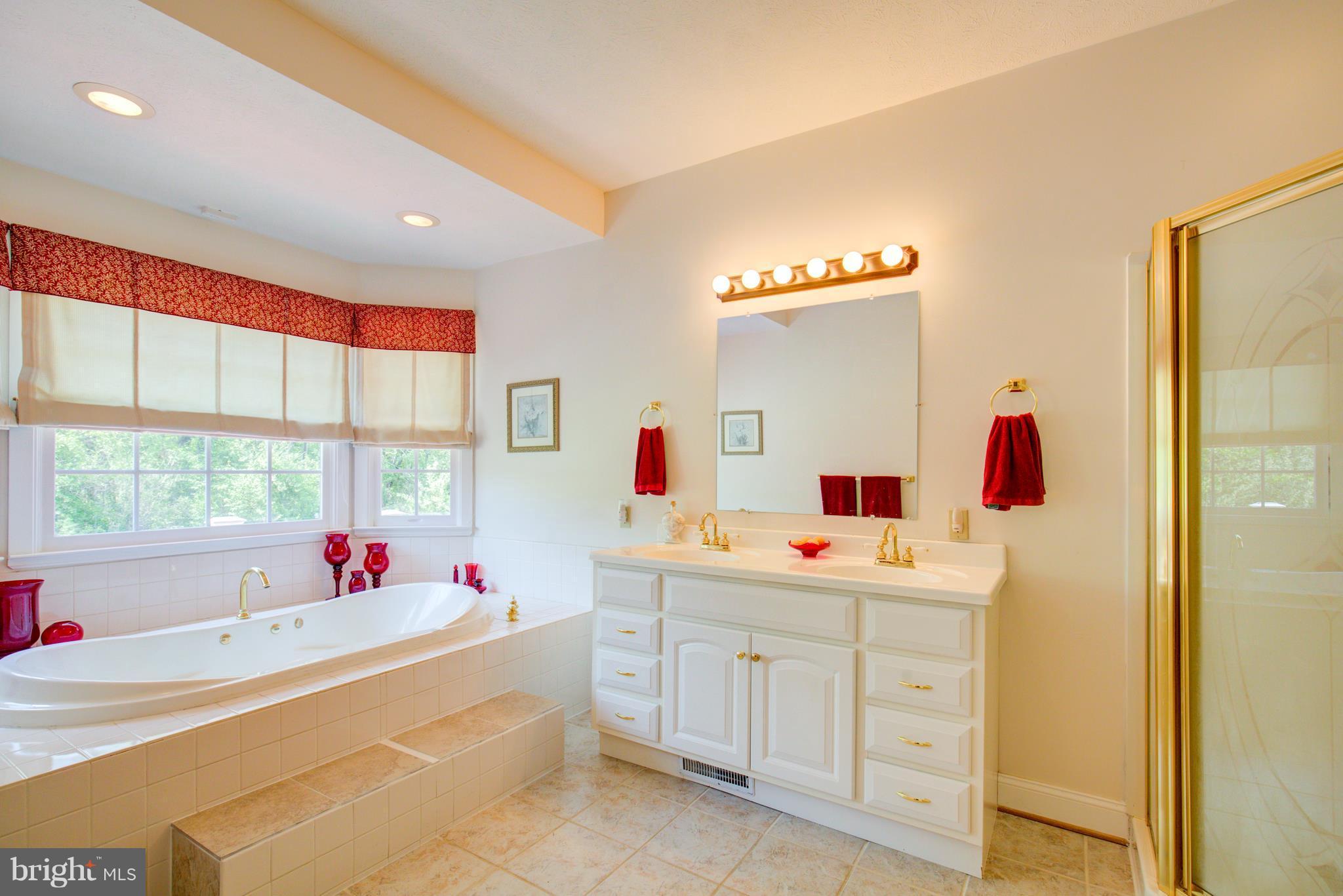 860 Apple Pie Ridge Road Winchester, VA 22603 - Photo 22 of 29 MAIN FLOOR LUXURY FULL BATH W/SEPARATE SHOWER