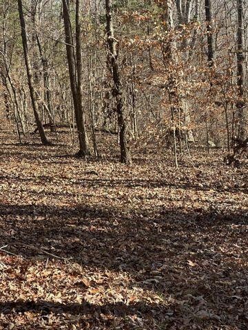 3 Northwest Lower River Road Charleston, TN 37310 - Photo 2 of 5 Gallery Image 2