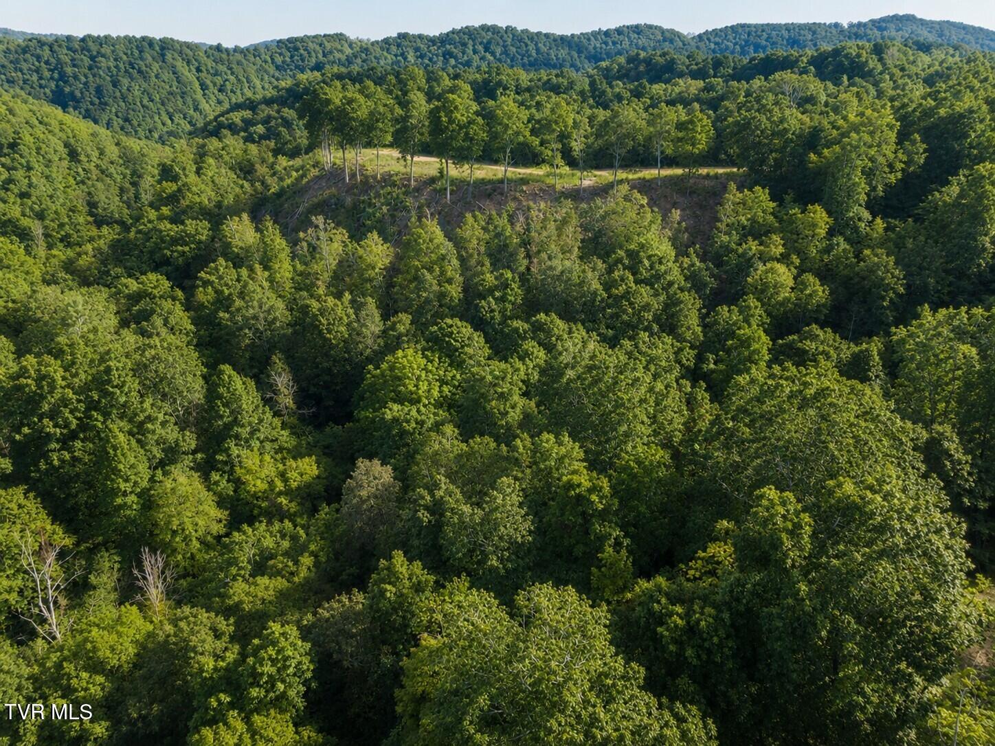 Tbd Mosier Road Johnson City, TN 37601 - Photo 30 of 32 pic 30.1