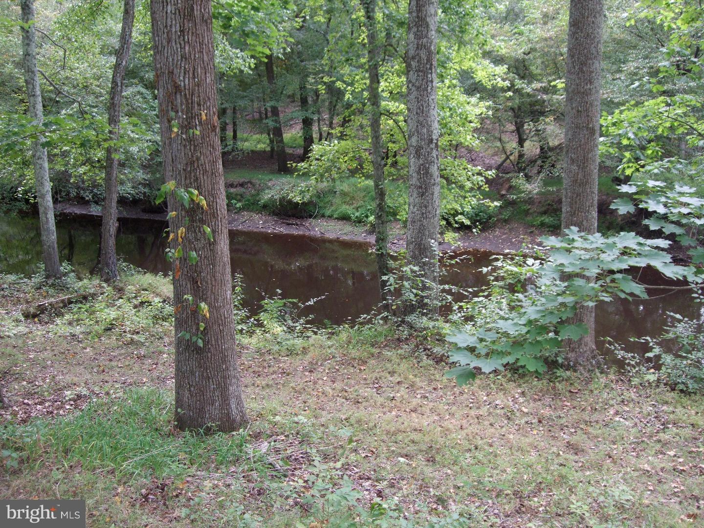 156 Birmingham Road Mount Holly, NJ 08060 - Photo 23 of 25