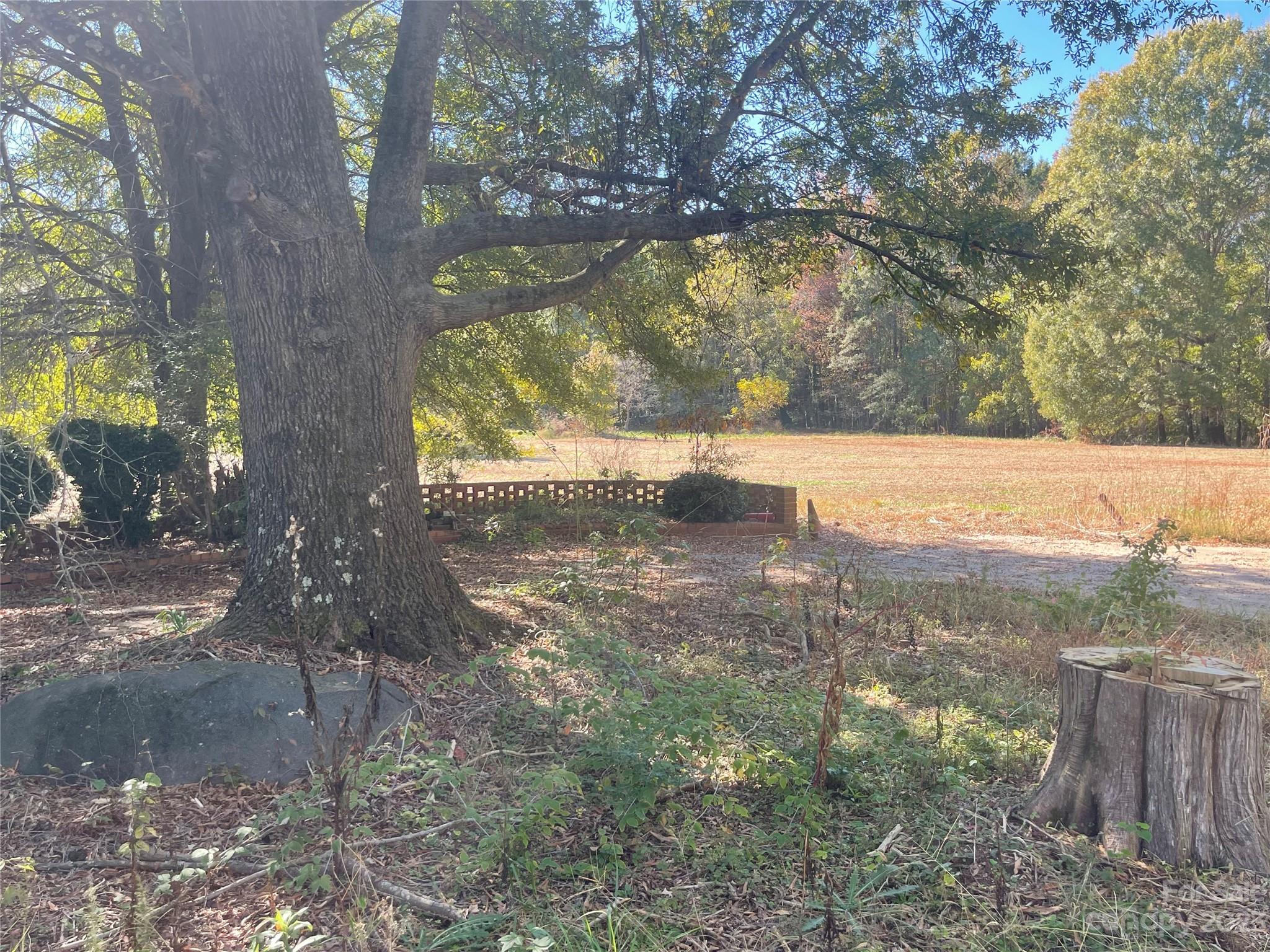 2640 Graham Road, Unit 4 Mount Ulla, NC 28125 - Photo 6 of 7 a view of a yard with an trees