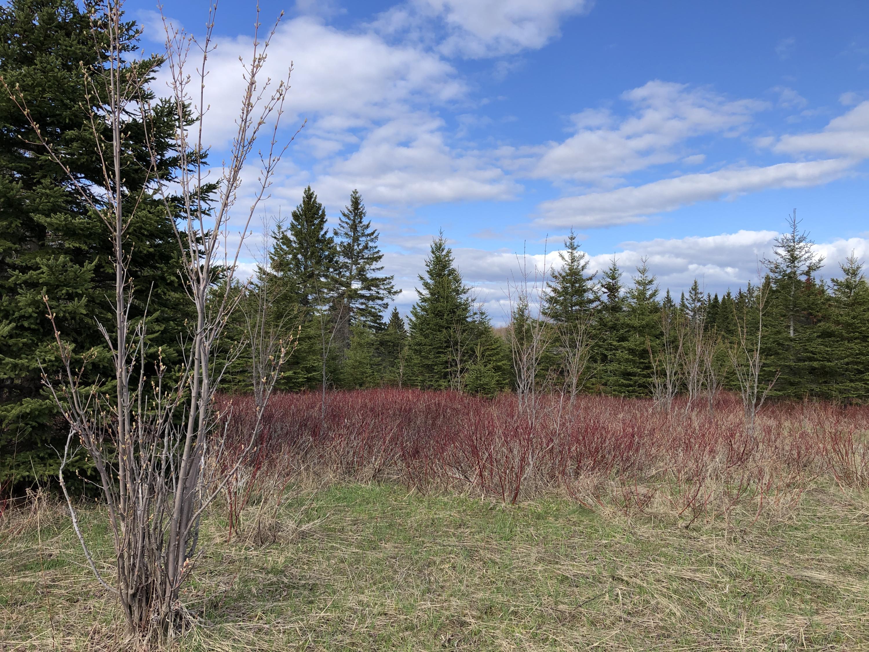 Map3-lot22 Campground Road Caribou, ME 04736 - Photo 5 of 14 Campground Hill Rd Caribou Land May 2021