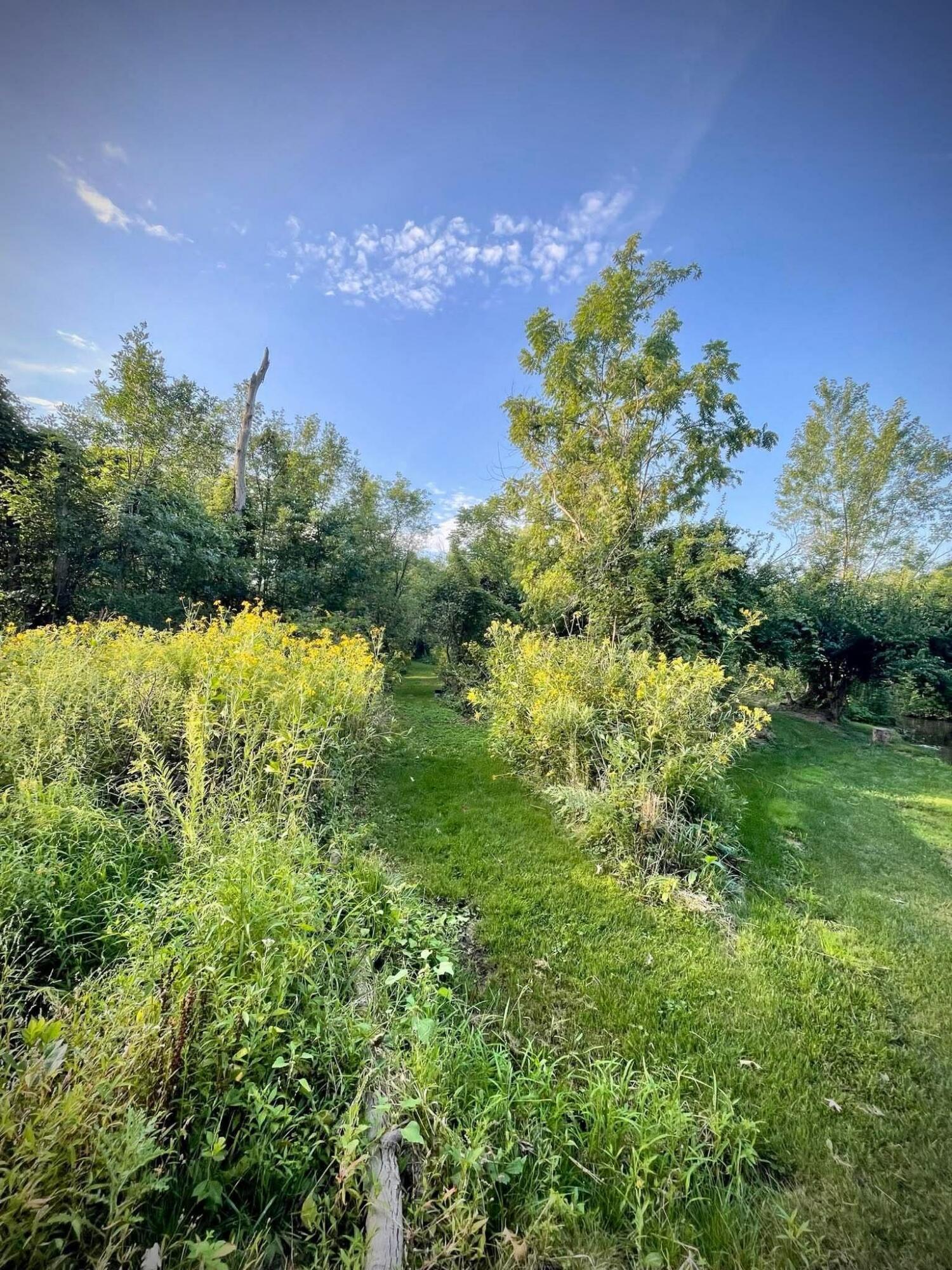 0 Grady Street Chesterton, IN 46304 - Photo 4 of 13 1500x2000