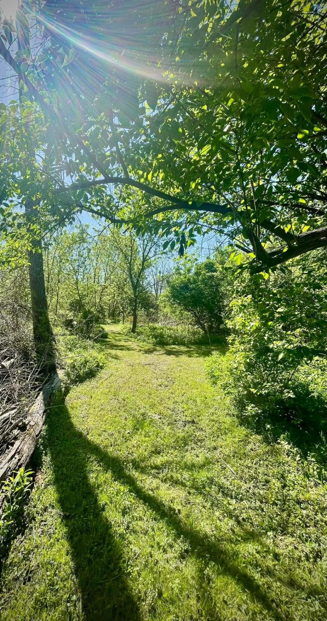 0 Grady Street Chesterton, IN 46304 - Photo 6 of 13 1054x2000