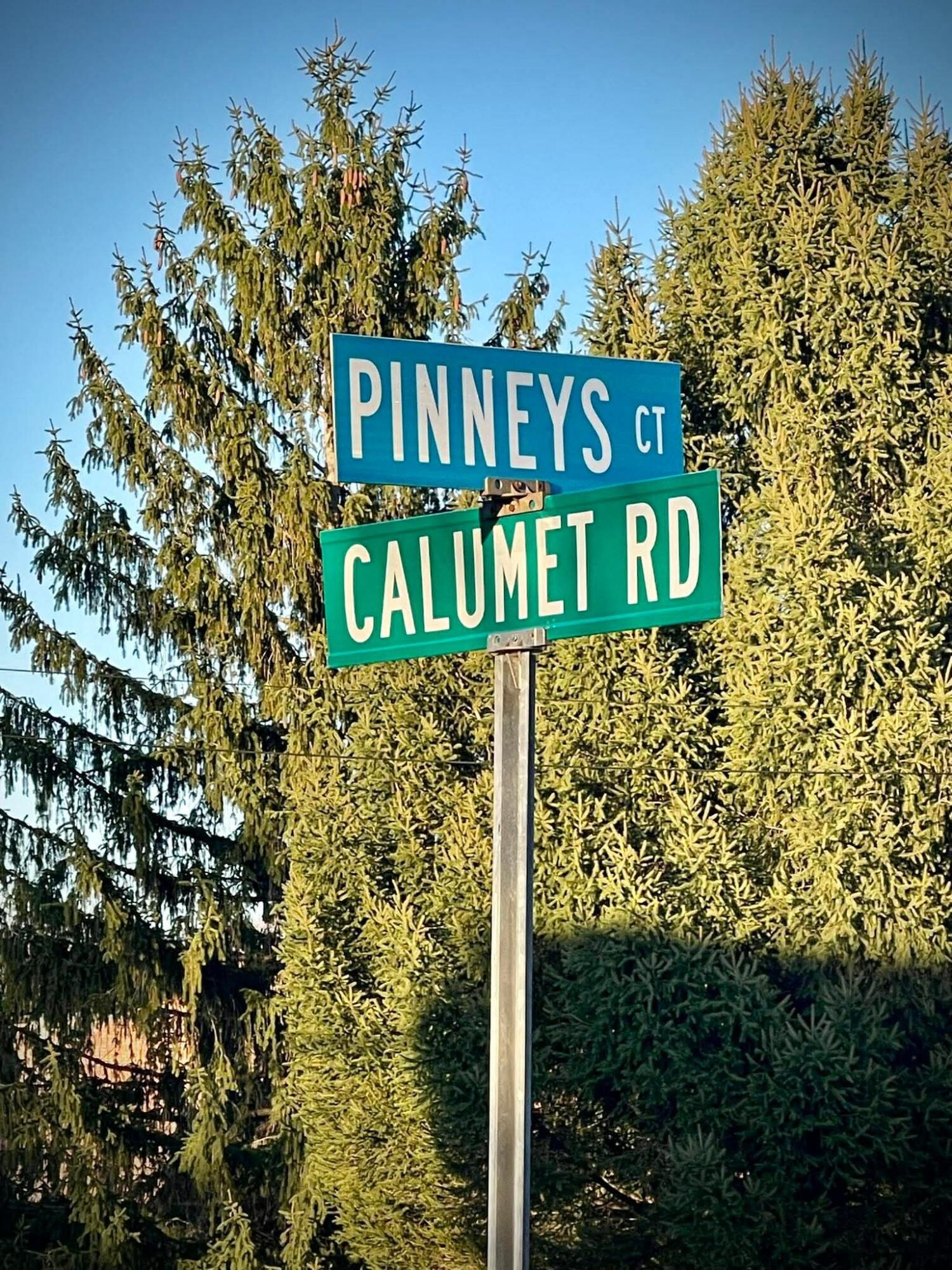 0 Grady Street Chesterton, IN 46304 - Photo 8 of 13 1500x2000