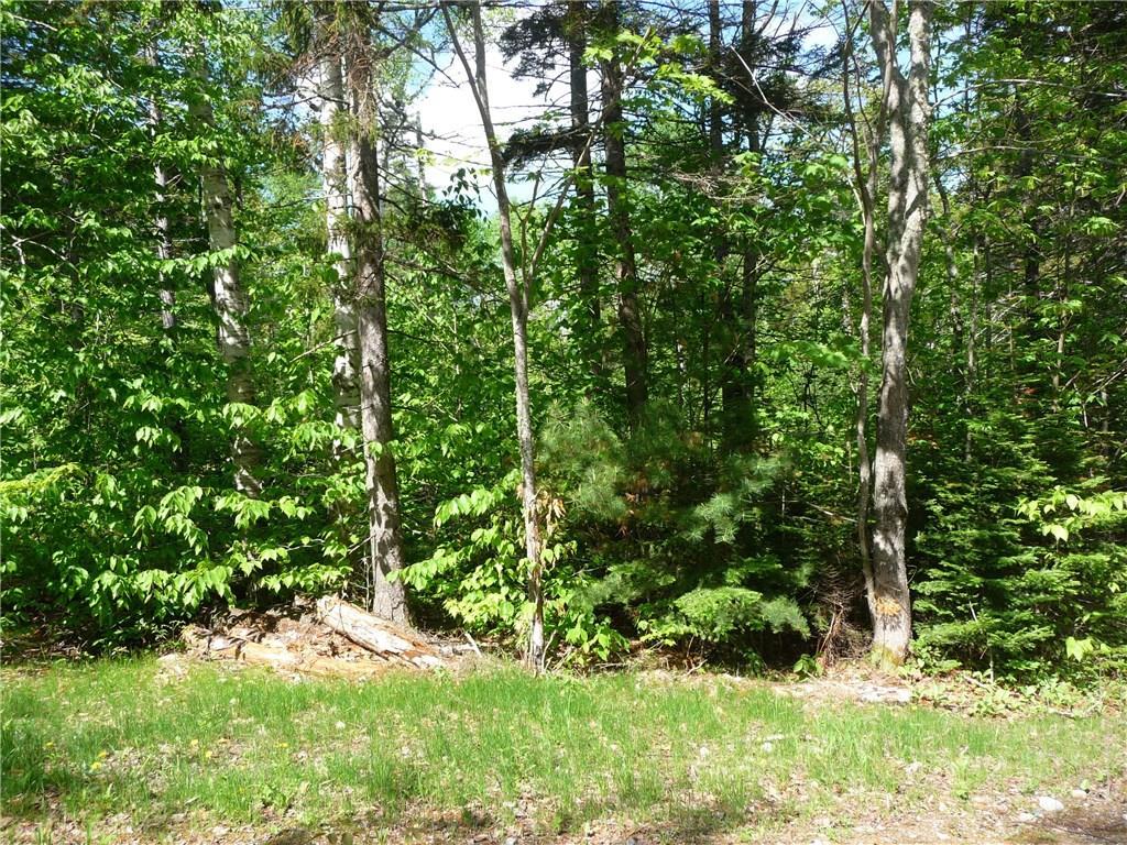 2008 Pond Road Carrabassett Valley, ME 04947 - Photo 4 of 6 Photo
