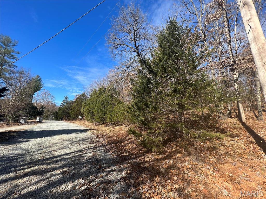 1 Rue Cheryl Bonne Terre, MO 63628 - Photo 1 of 20