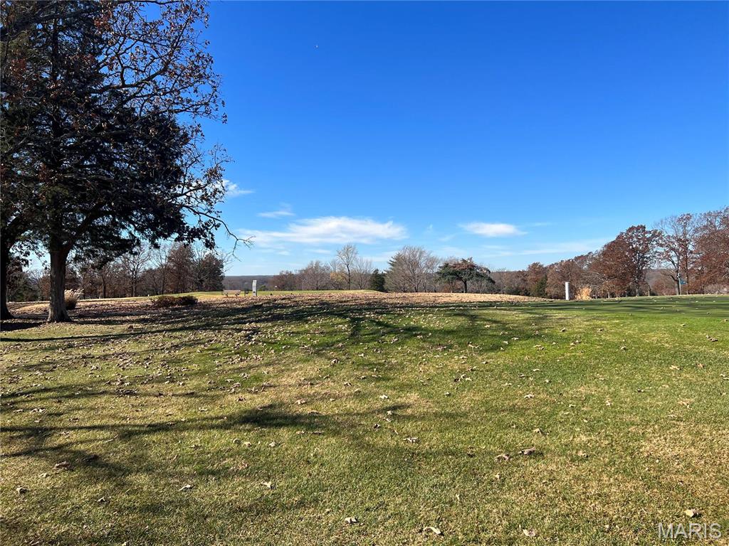 1 Rue Cheryl Bonne Terre, MO 63628 - Photo 17 of 20