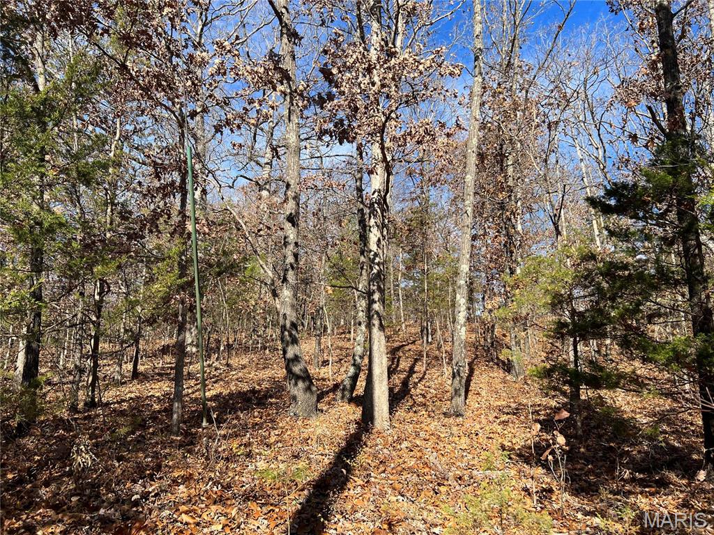 1 Rue Cheryl Bonne Terre, MO 63628 - Photo 2 of 20