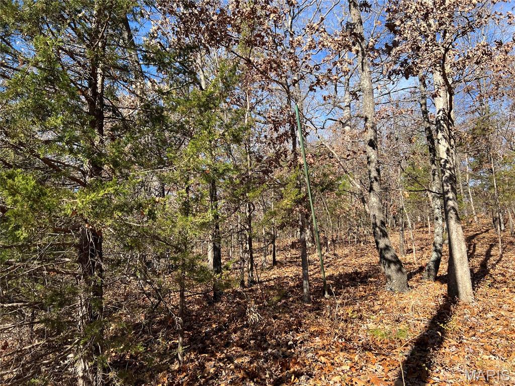 1 Rue Cheryl Bonne Terre, MO 63628 - Photo 3 of 20