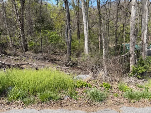 $24,900 | 513 San Antonio Drive, Unit 5, Bristol, TN 37620