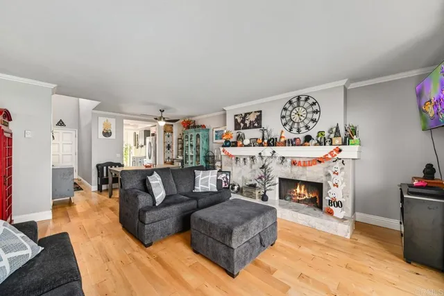 a living room with furniture a window and a fireplace