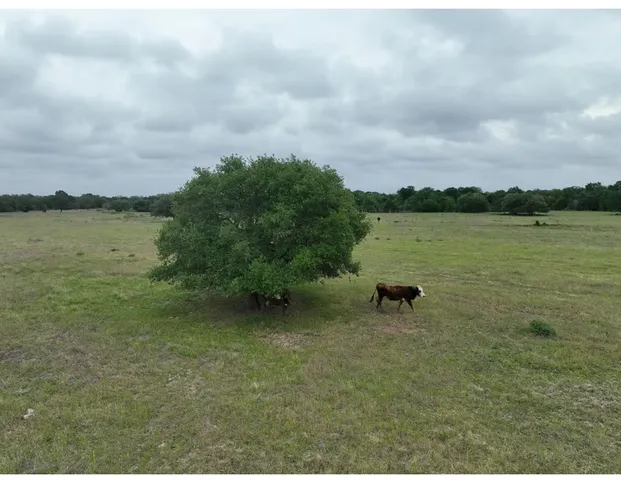 $279,000 | Lot 3-tbd County Road 127 Road, Ledbetter, TX 78946
