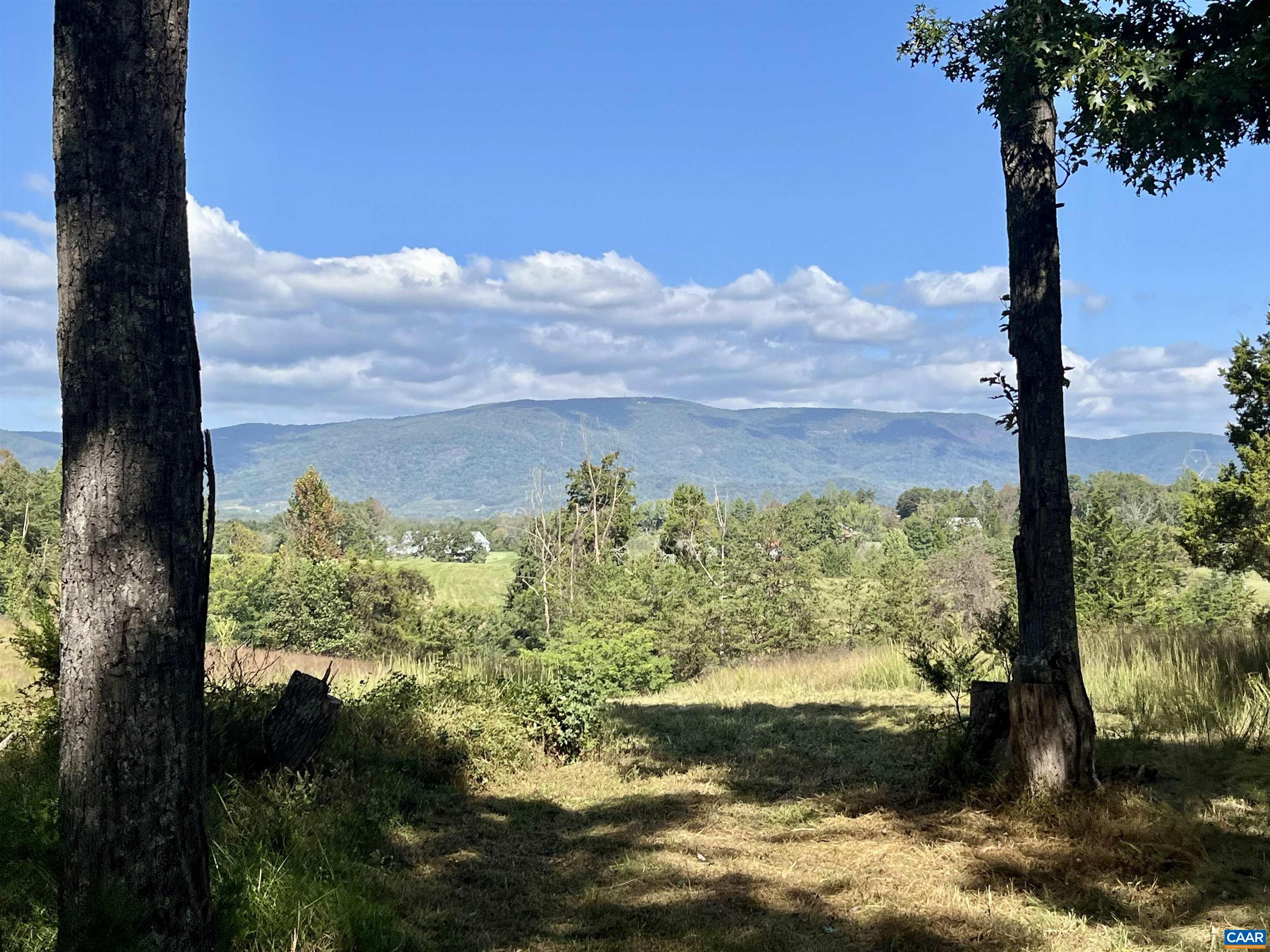 Midway Road Charlottesville, VA 22903 - Photo 13 of 54
