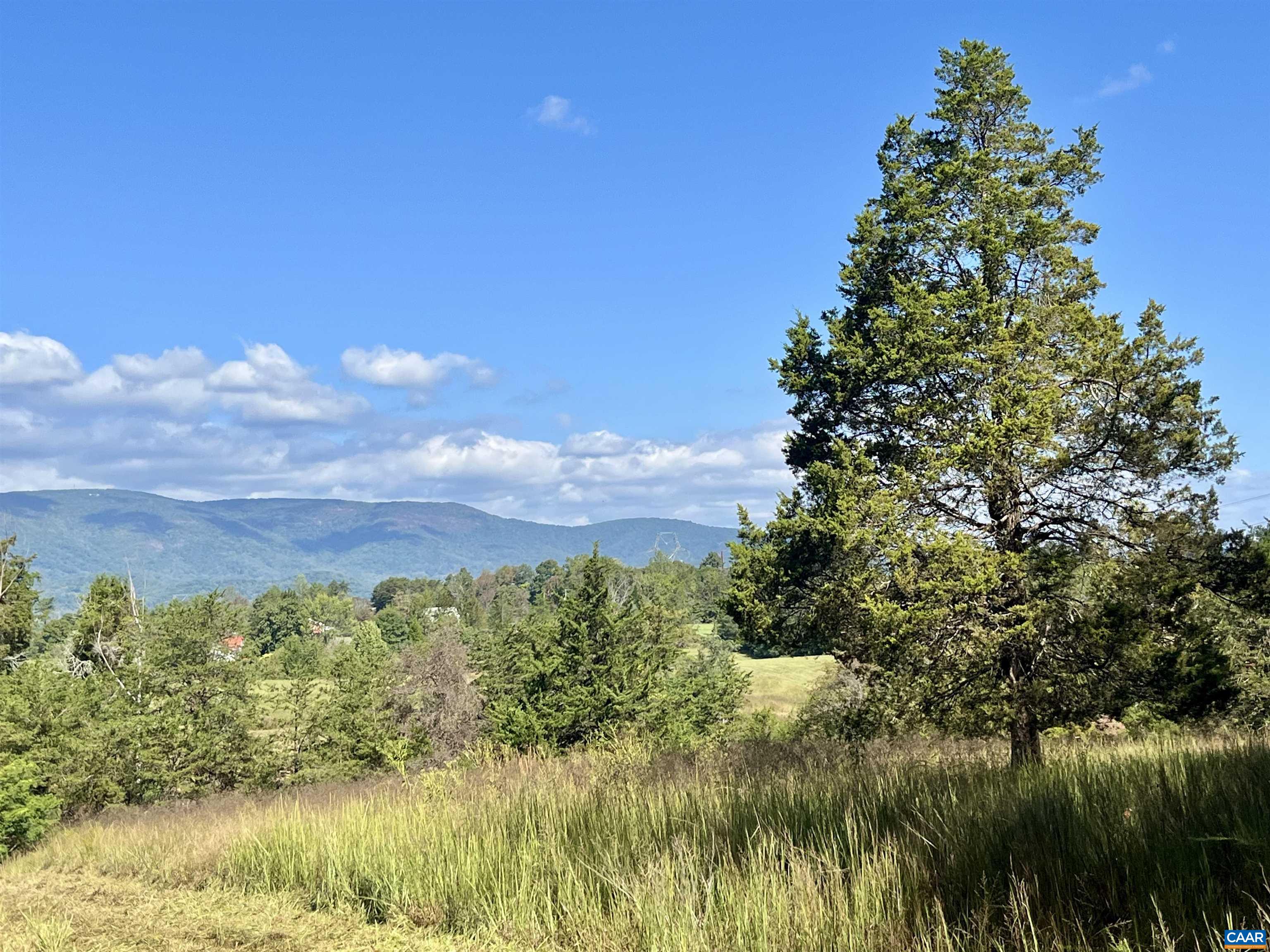 Midway Road Charlottesville, VA 22903 - Photo 15 of 54