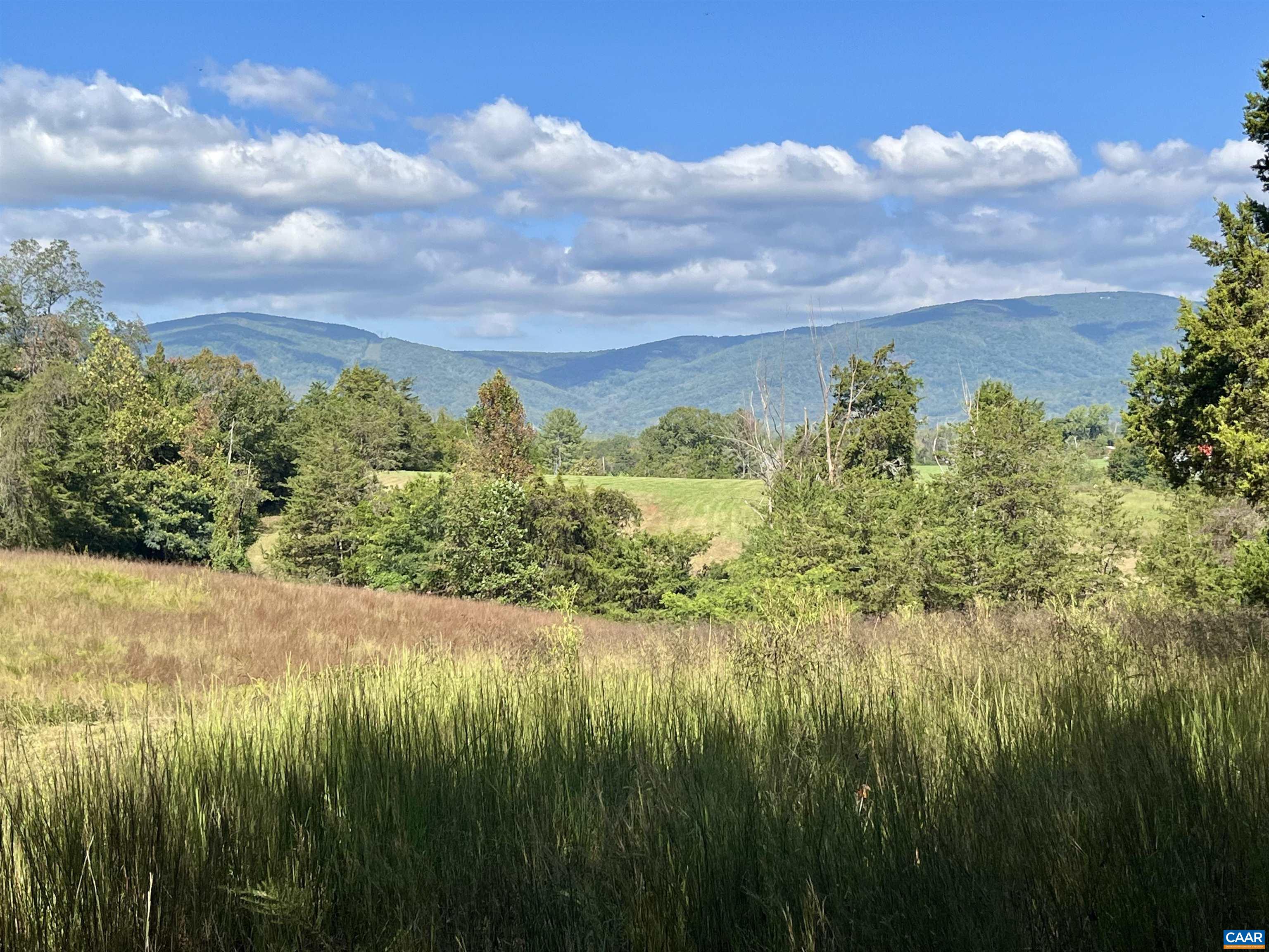 Midway Road Charlottesville, VA 22903 - Photo 16 of 54