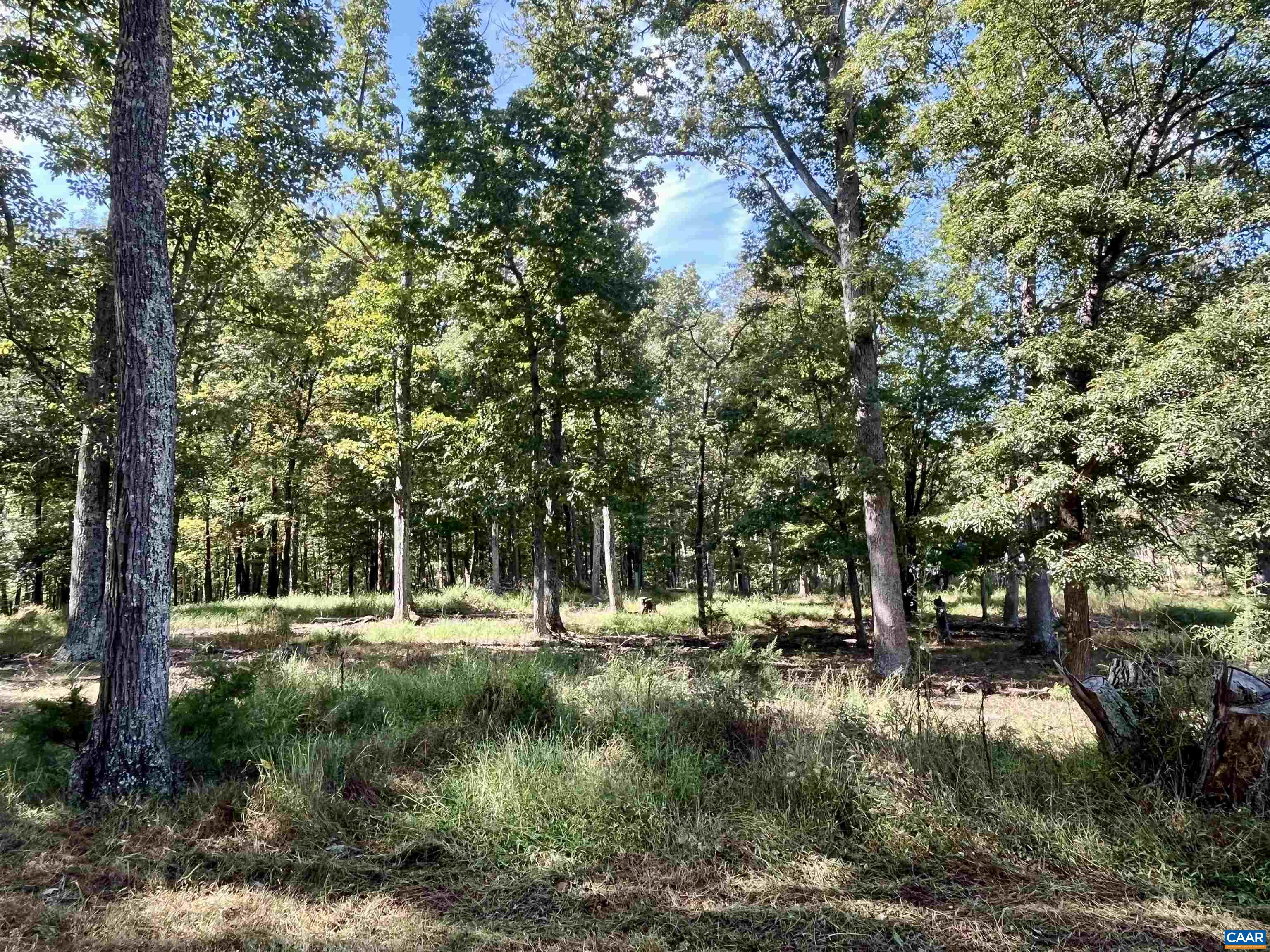 Midway Road Charlottesville, VA 22903 - Photo 17 of 54