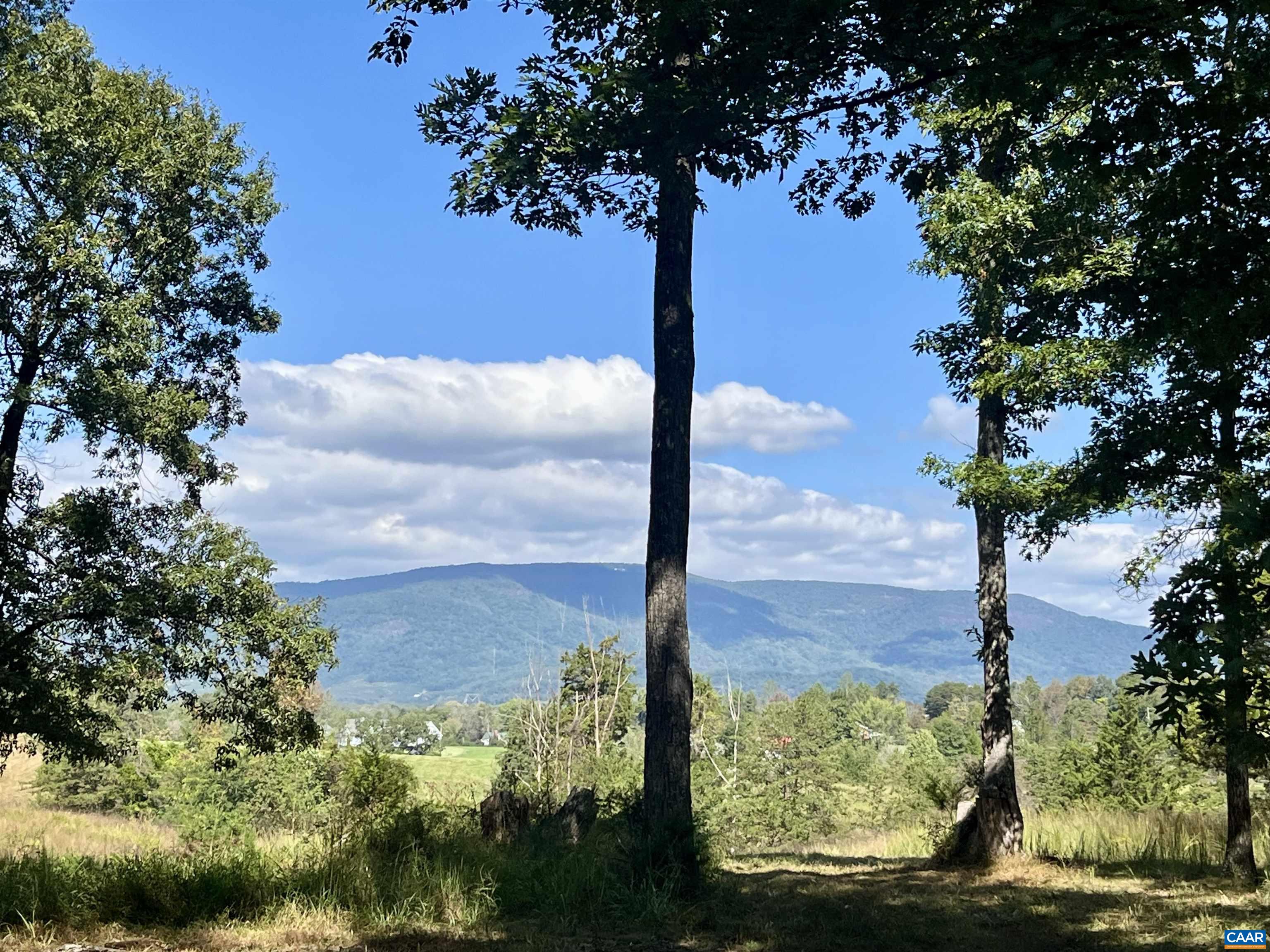 Midway Road Charlottesville, VA 22903 - Photo 19 of 54
