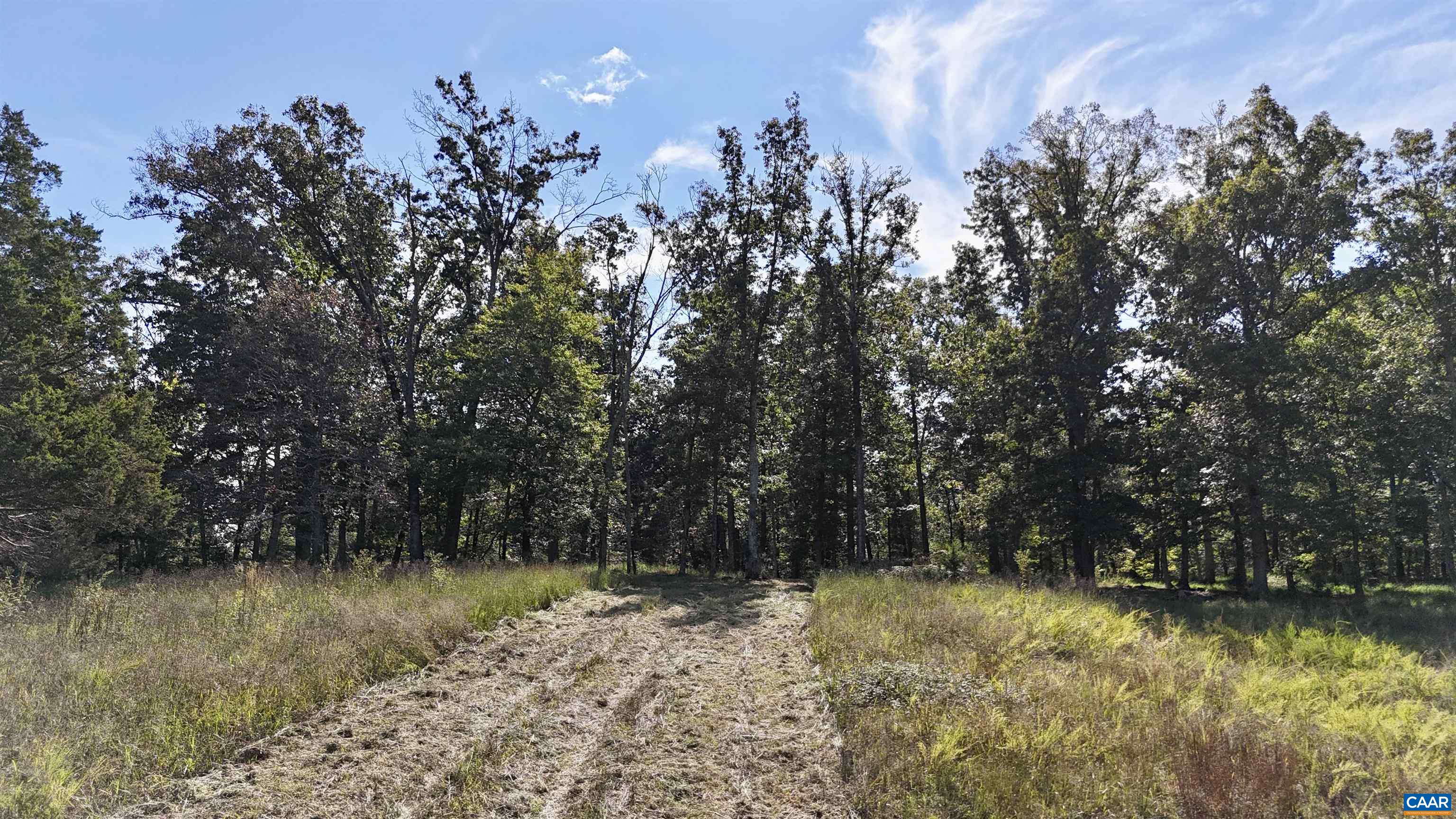 Midway Road Charlottesville, VA 22903 - Photo 23 of 54