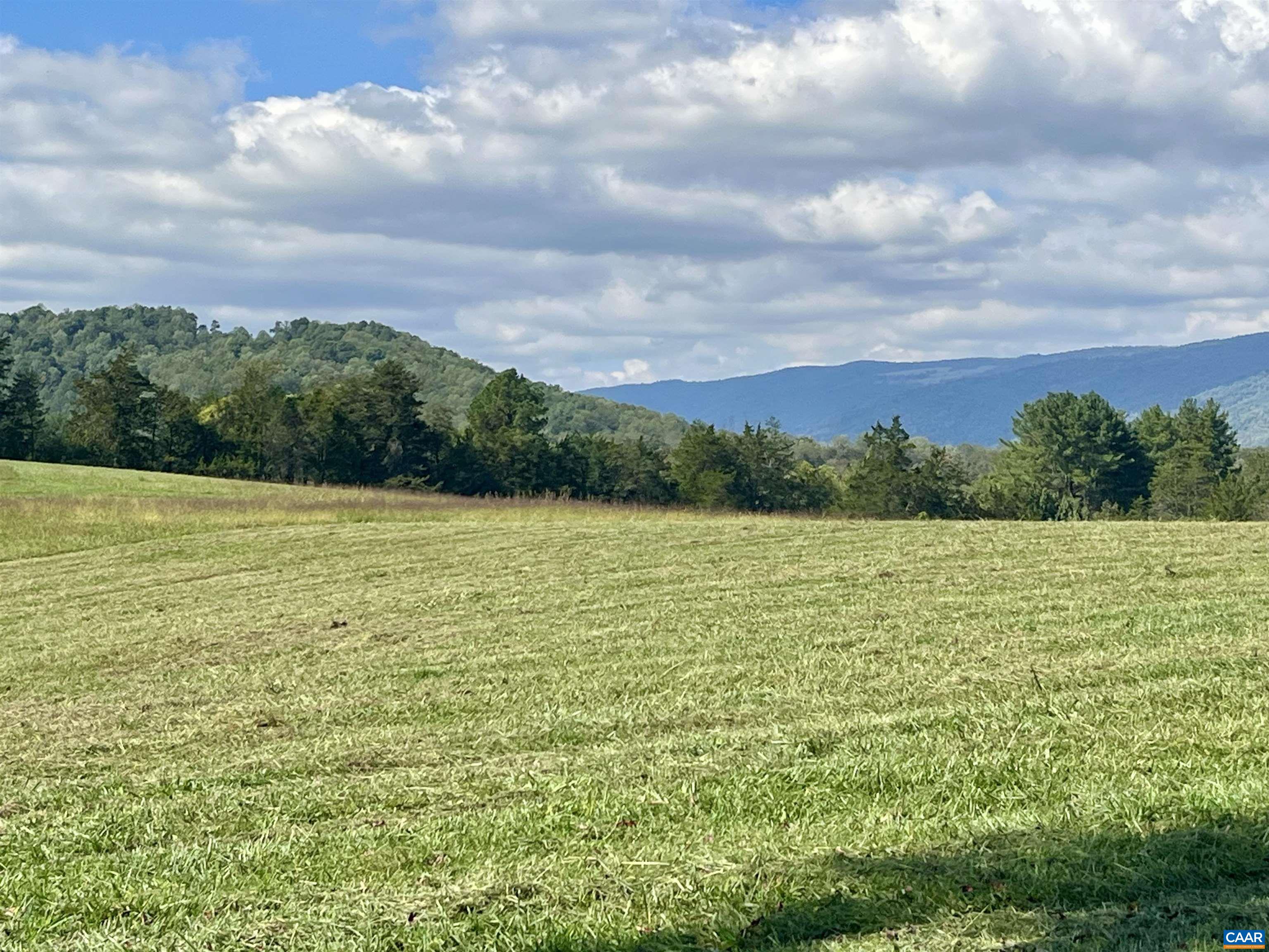 Midway Road Charlottesville, VA 22903 - Photo 30 of 54