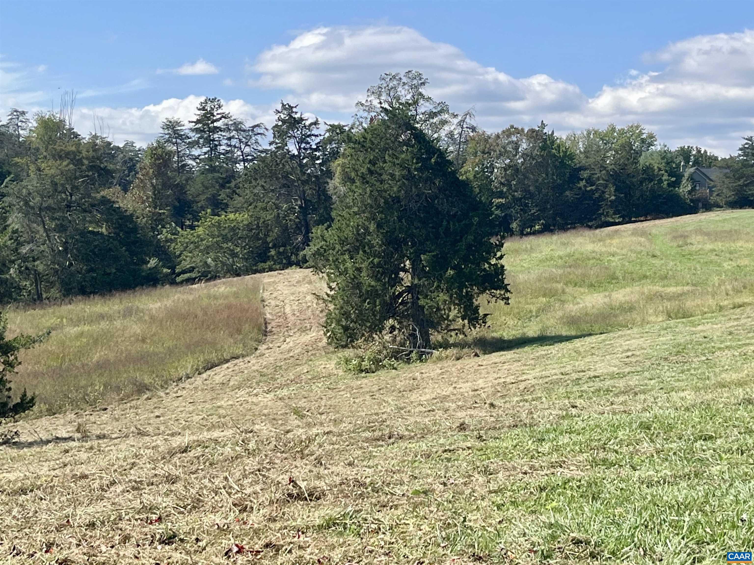 Midway Road Charlottesville, VA 22903 - Photo 31 of 54