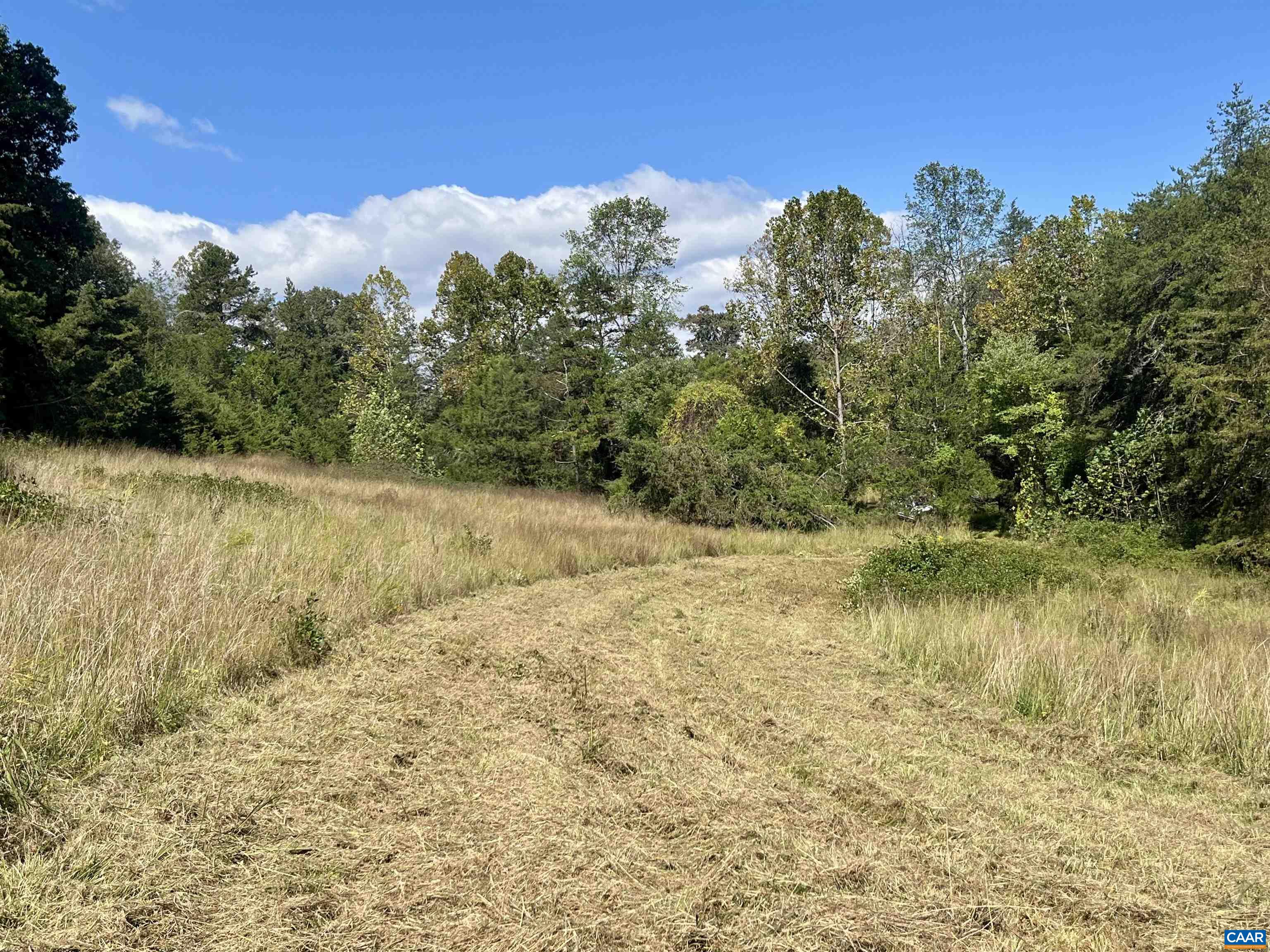 Midway Road Charlottesville, VA 22903 - Photo 32 of 54