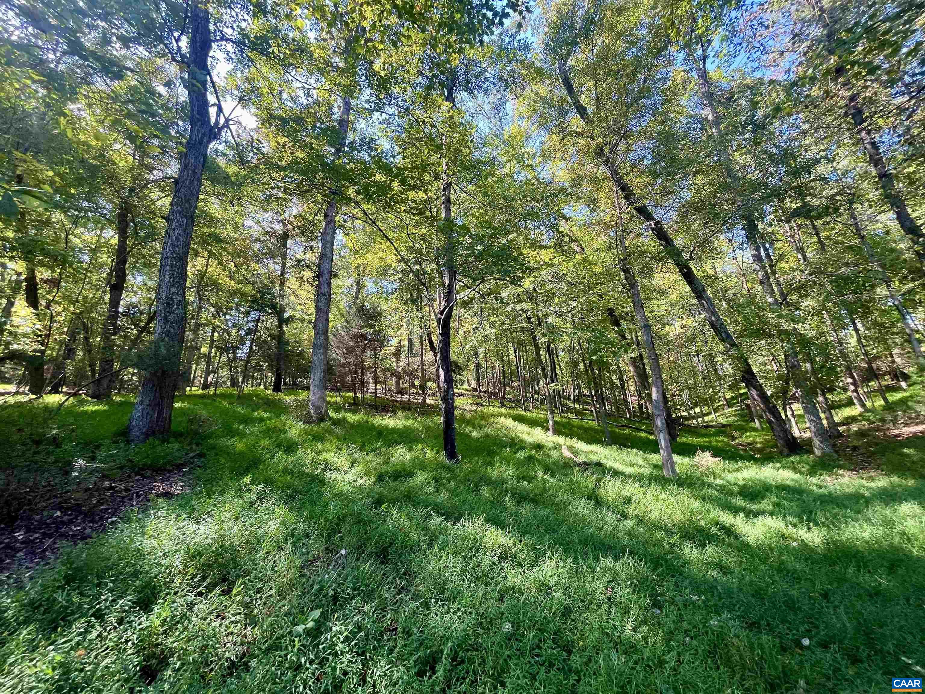 Midway Road Charlottesville, VA 22903 - Photo 33 of 54