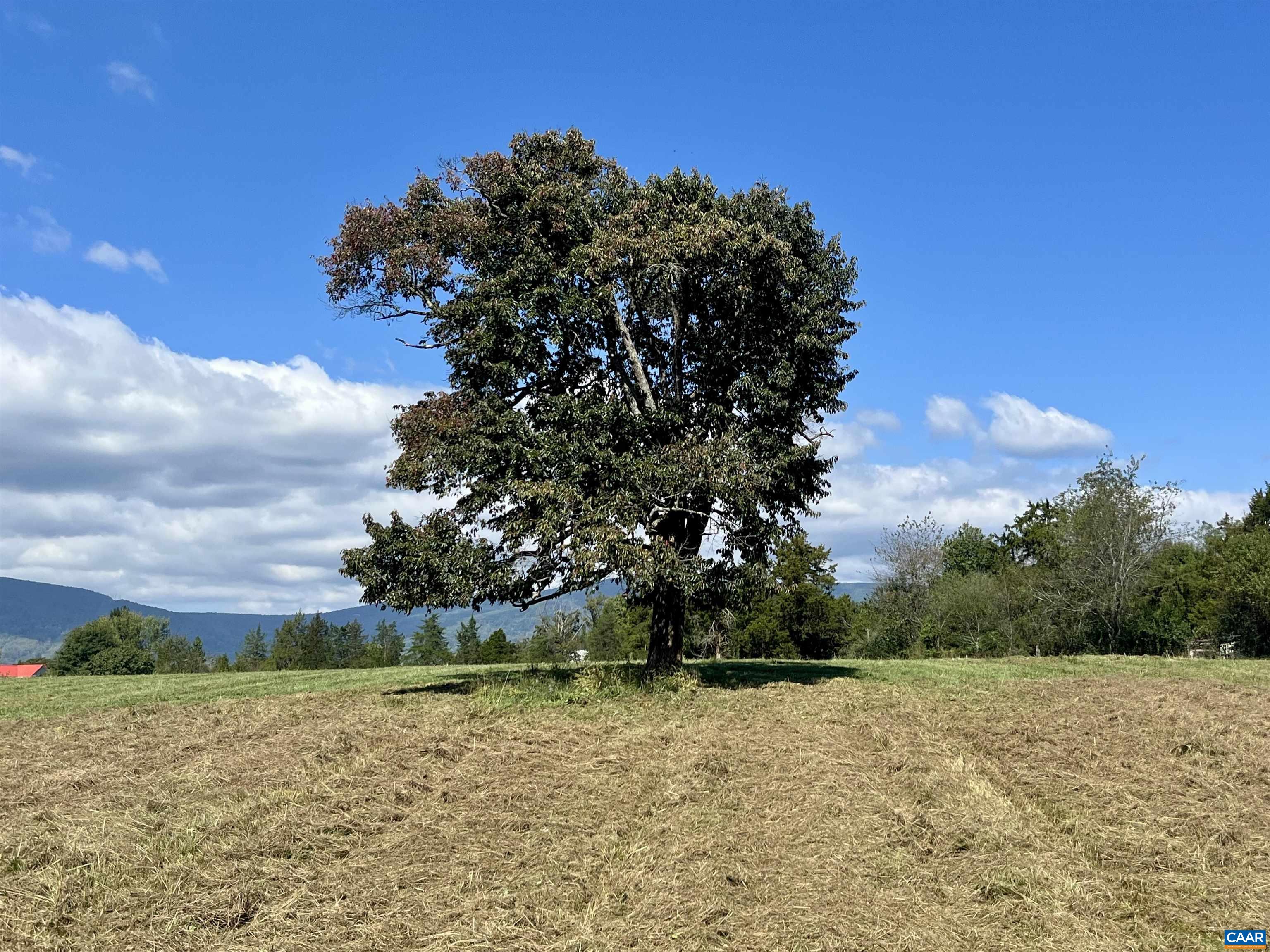 Midway Road Charlottesville, VA 22903 - Photo 35 of 54