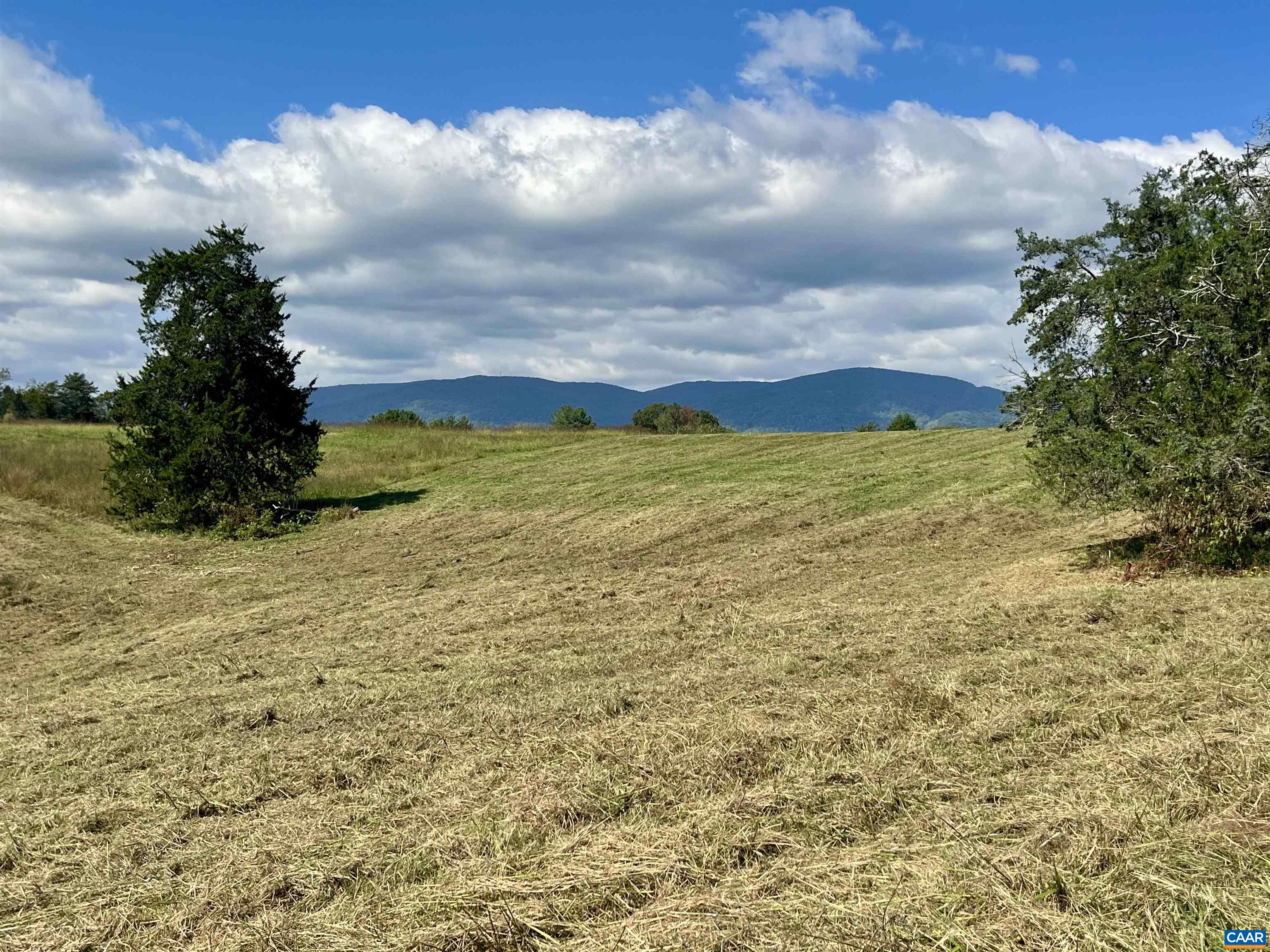 Midway Road Charlottesville, VA 22903 - Photo 36 of 54