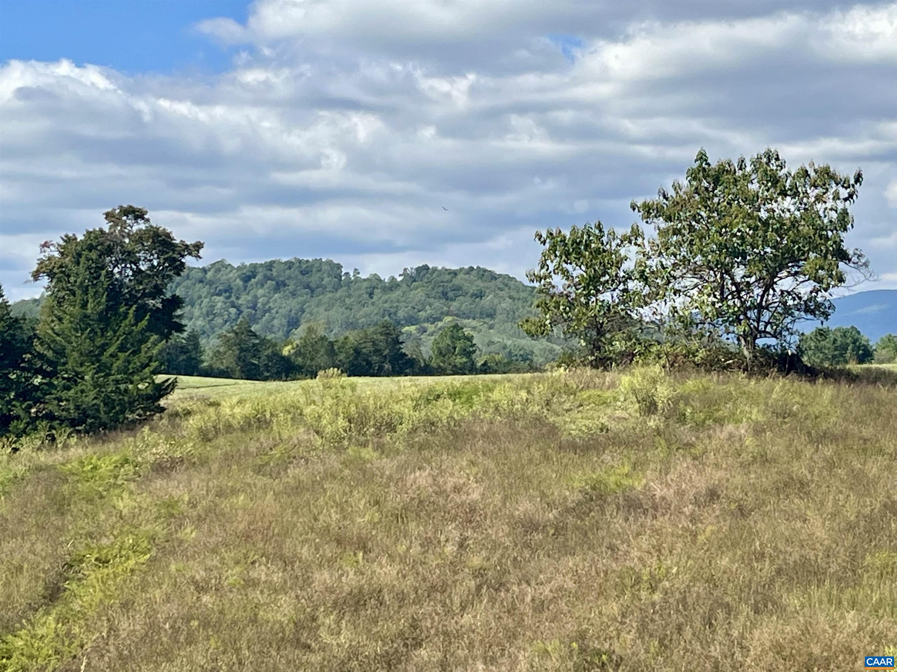 Midway Road Charlottesville, VA 22903 - Photo 37 of 54
