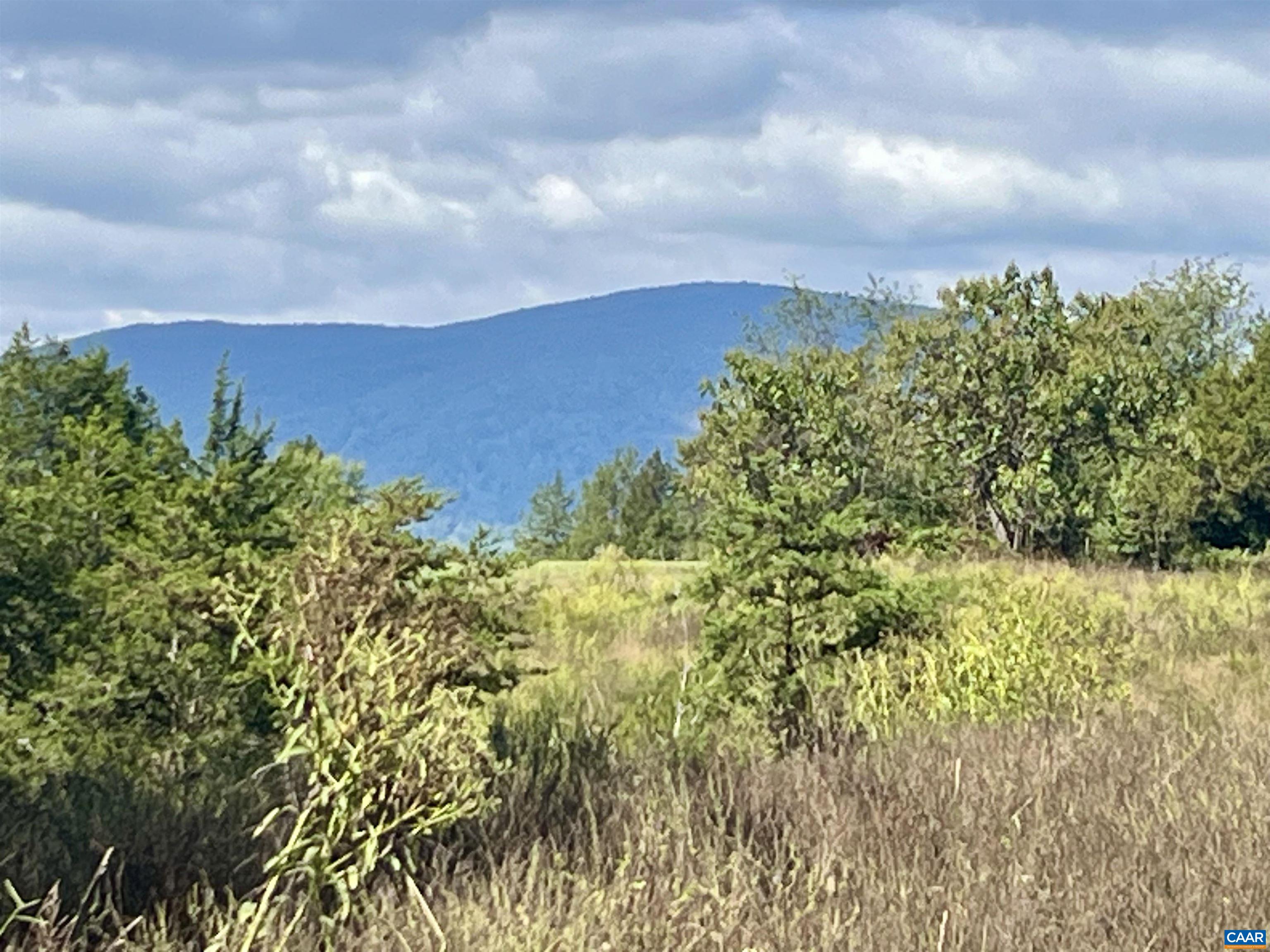 Midway Road Charlottesville, VA 22903 - Photo 38 of 54