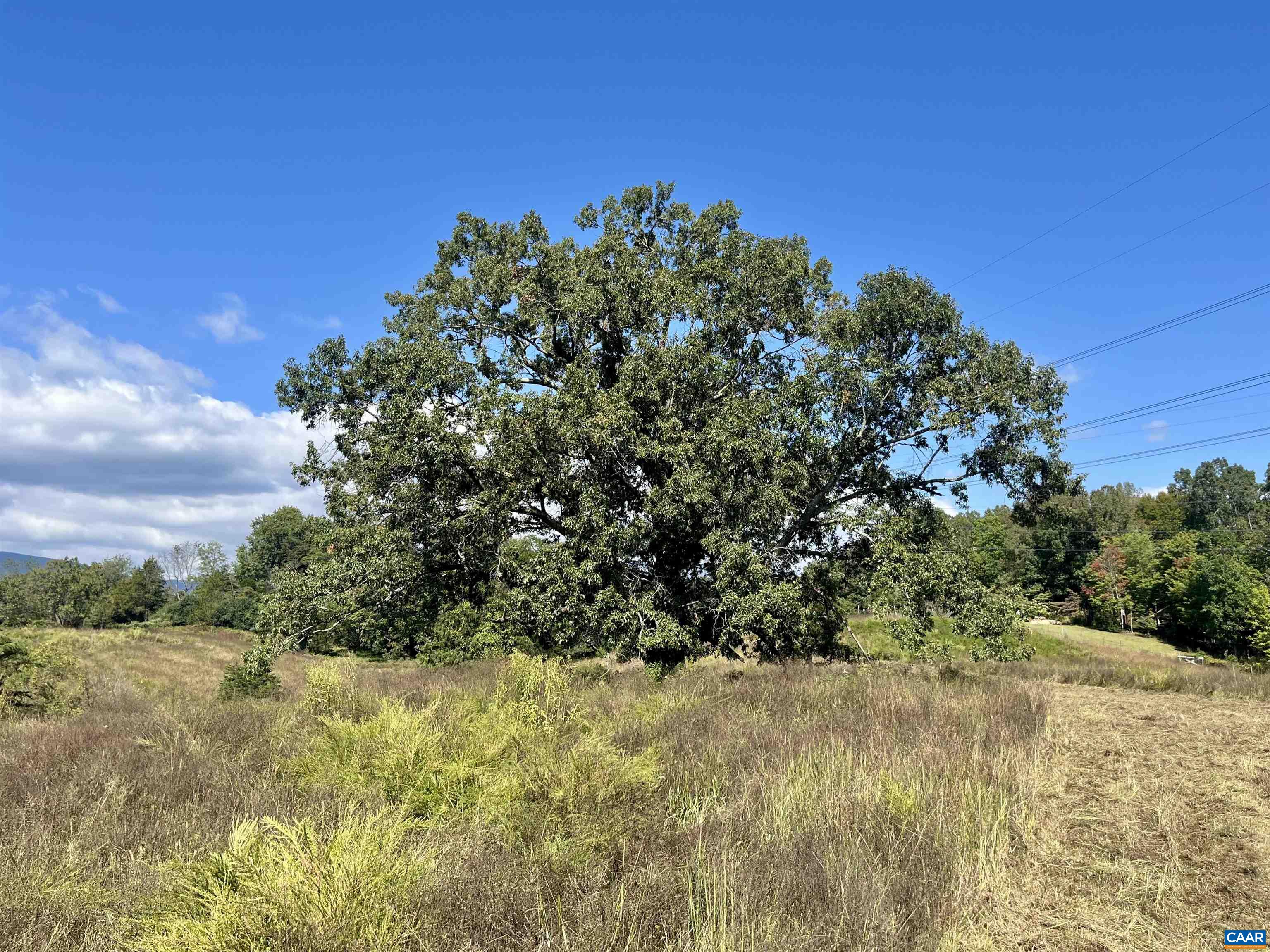 Midway Road Charlottesville, VA 22903 - Photo 39 of 54