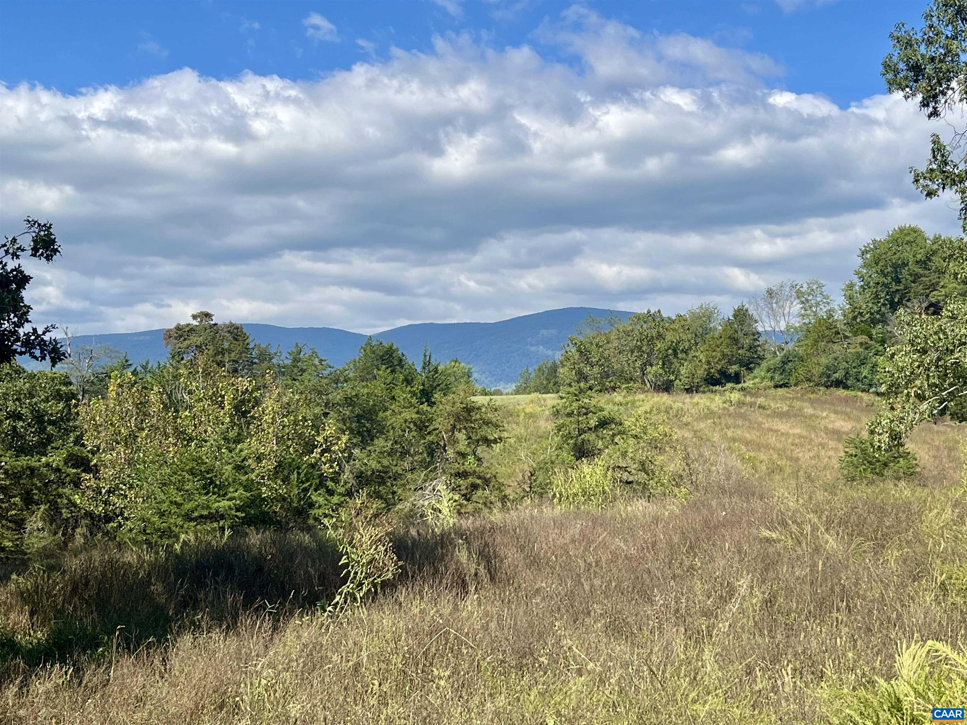 Midway Road Charlottesville, VA 22903 - Photo 40 of 54