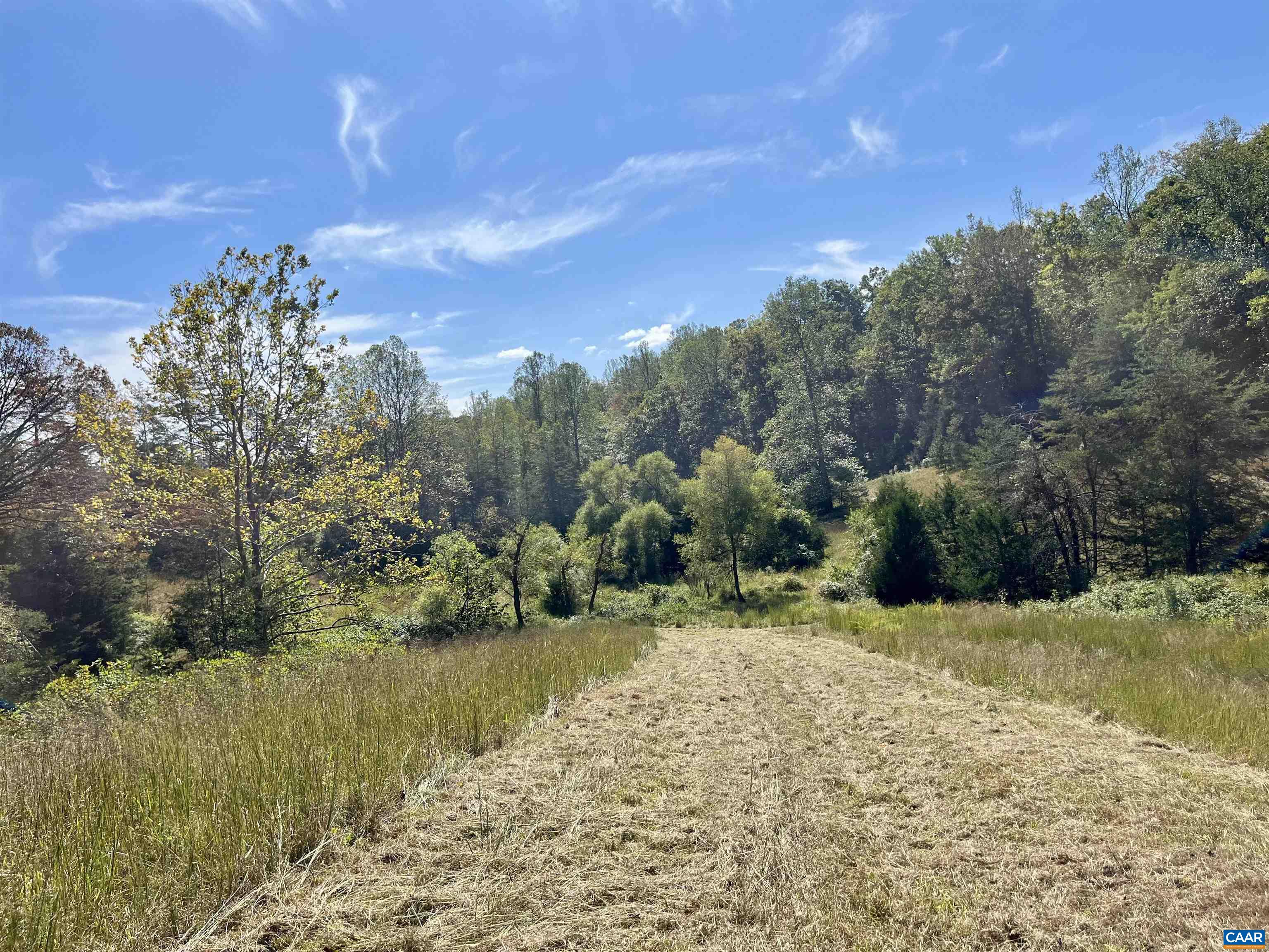 Midway Road Charlottesville, VA 22903 - Photo 41 of 54