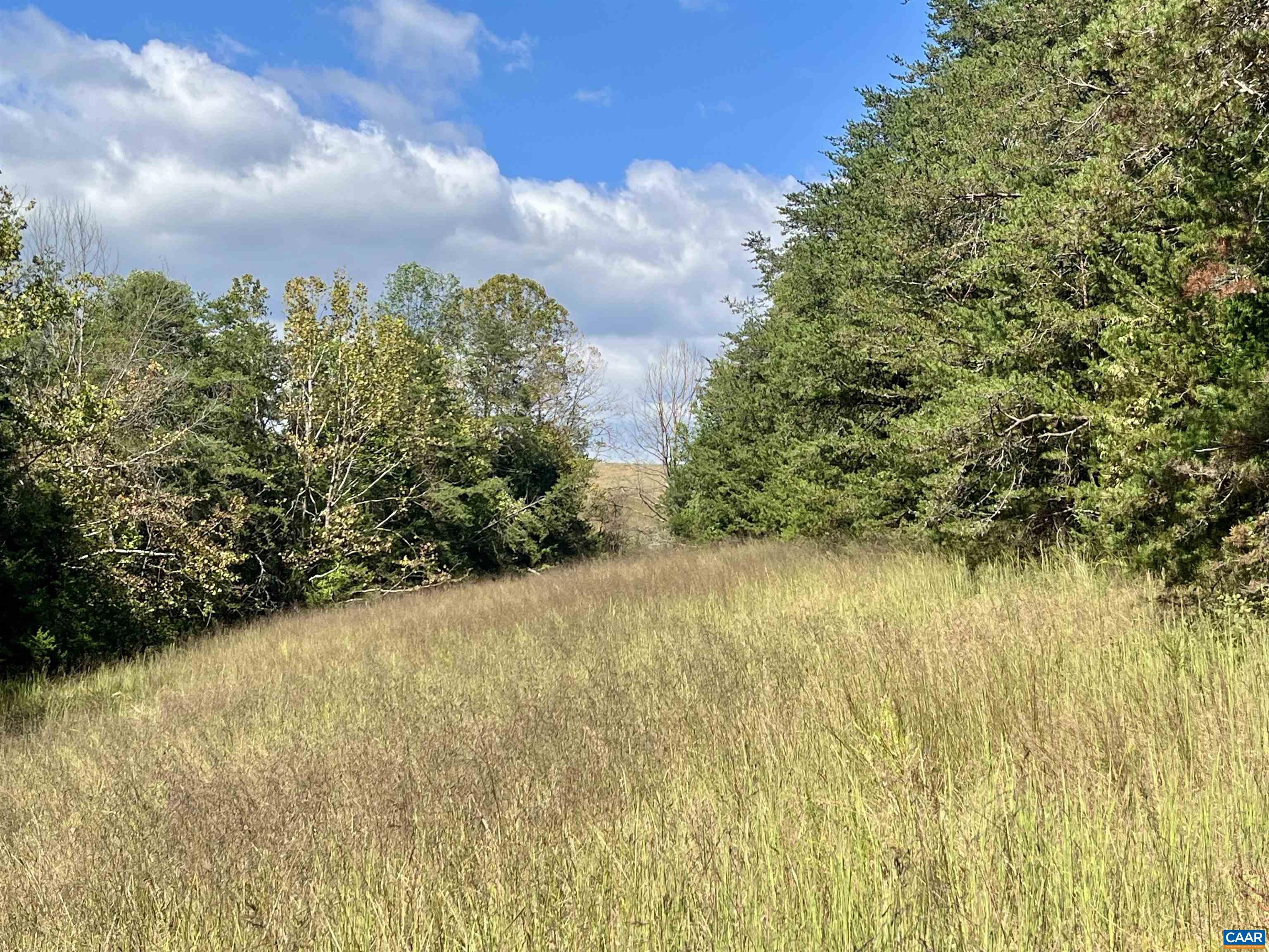 Midway Road Charlottesville, VA 22903 - Photo 42 of 54