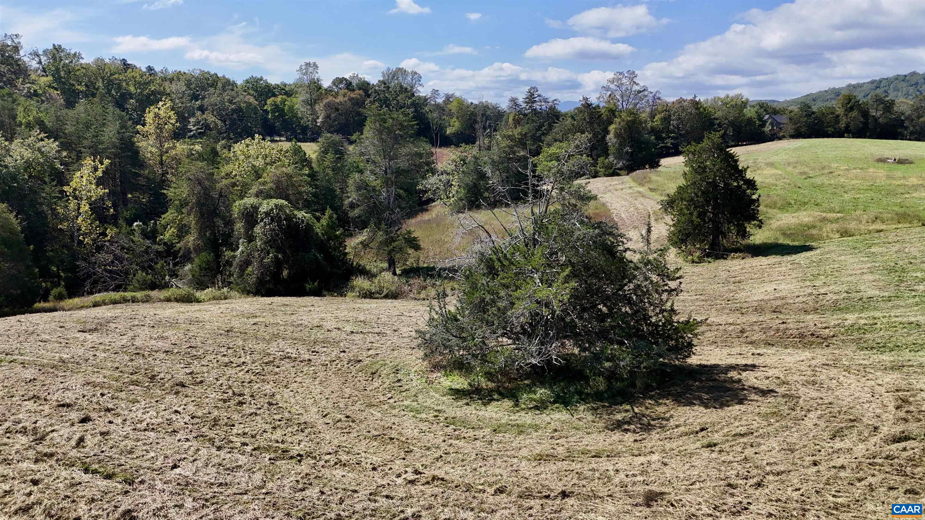 Midway Road Charlottesville, VA 22903 - Photo 45 of 54