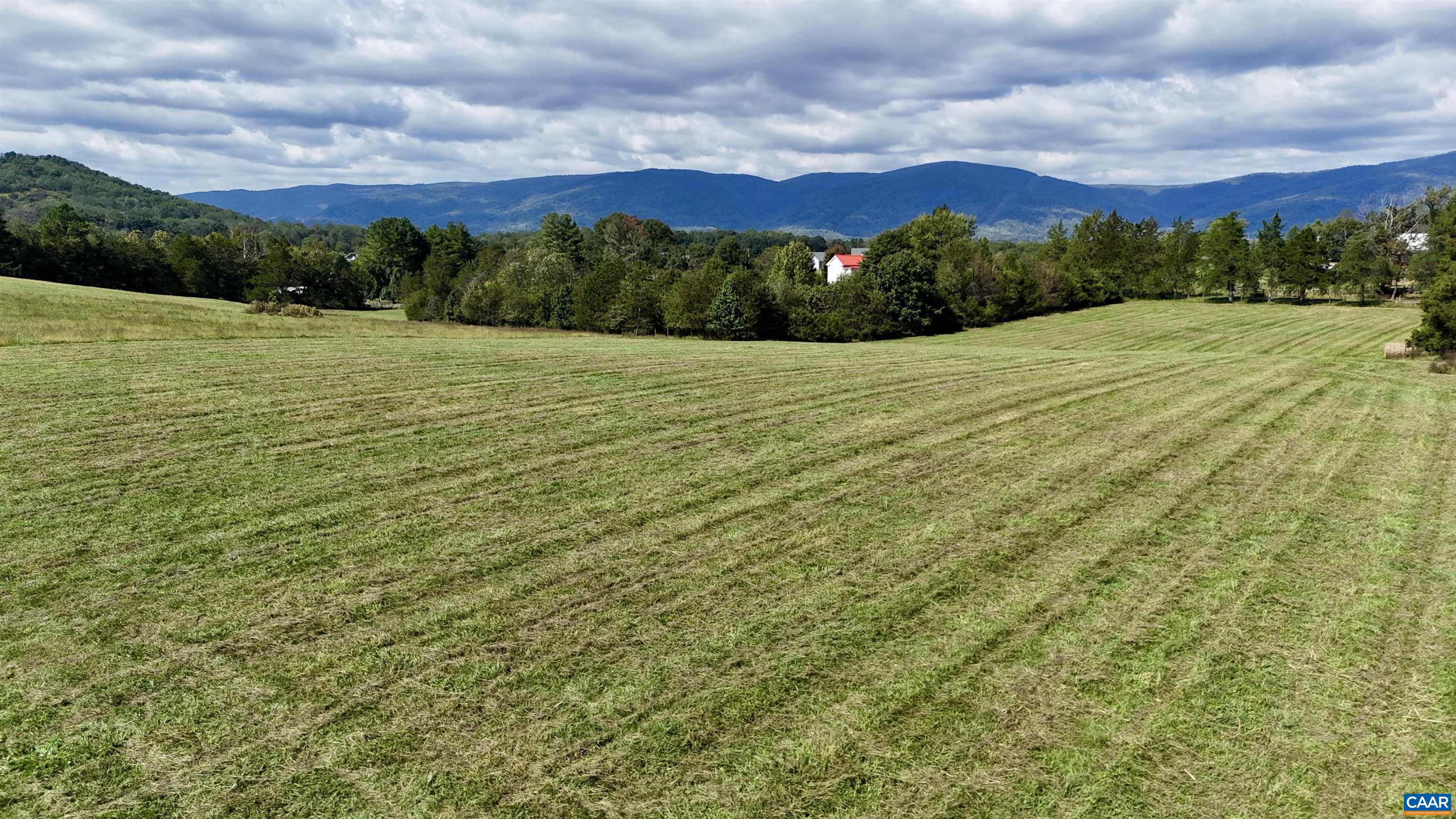 Midway Road Charlottesville, VA 22903 - Photo 46 of 54