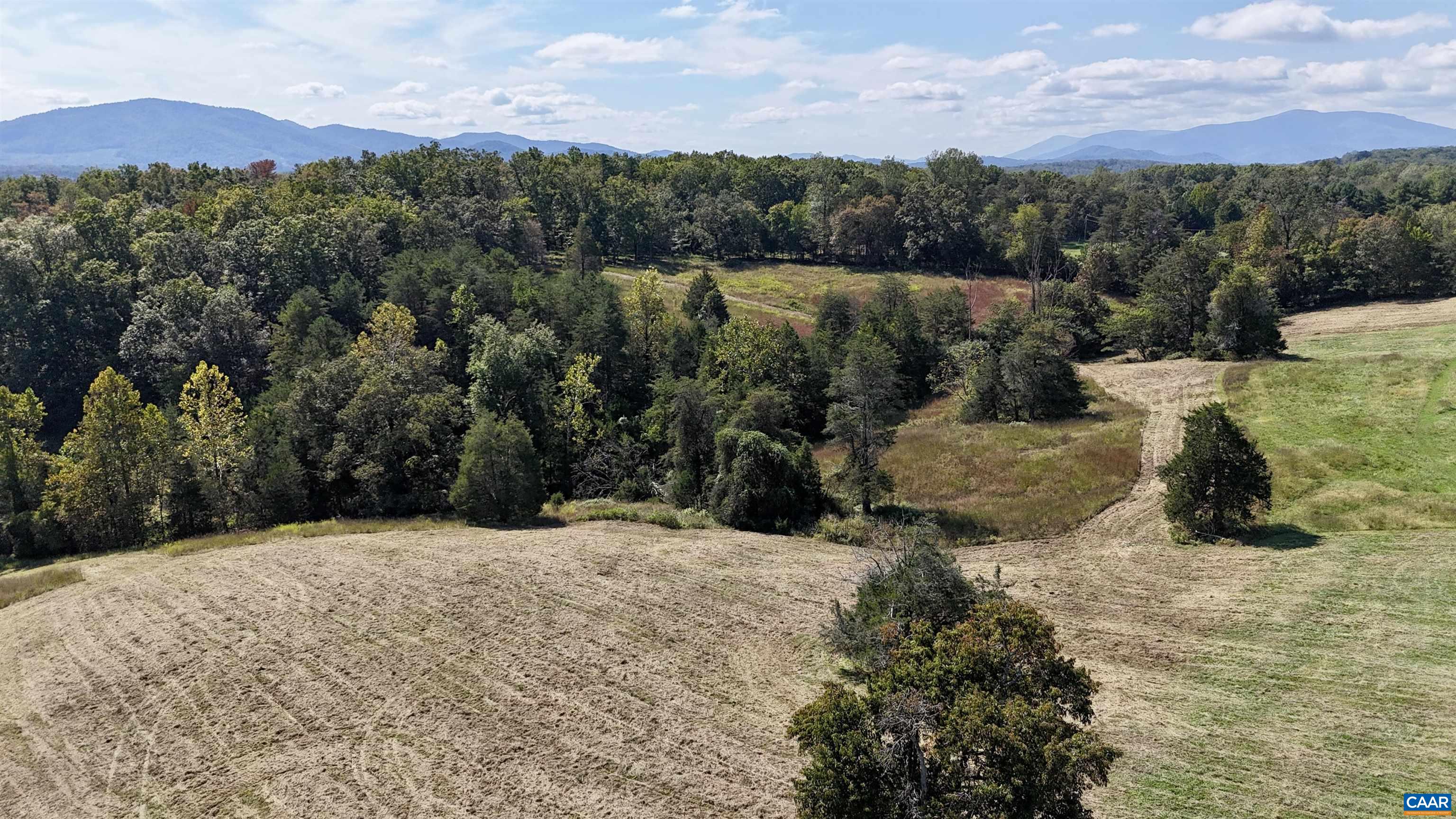 Midway Road Charlottesville, VA 22903 - Photo 51 of 54