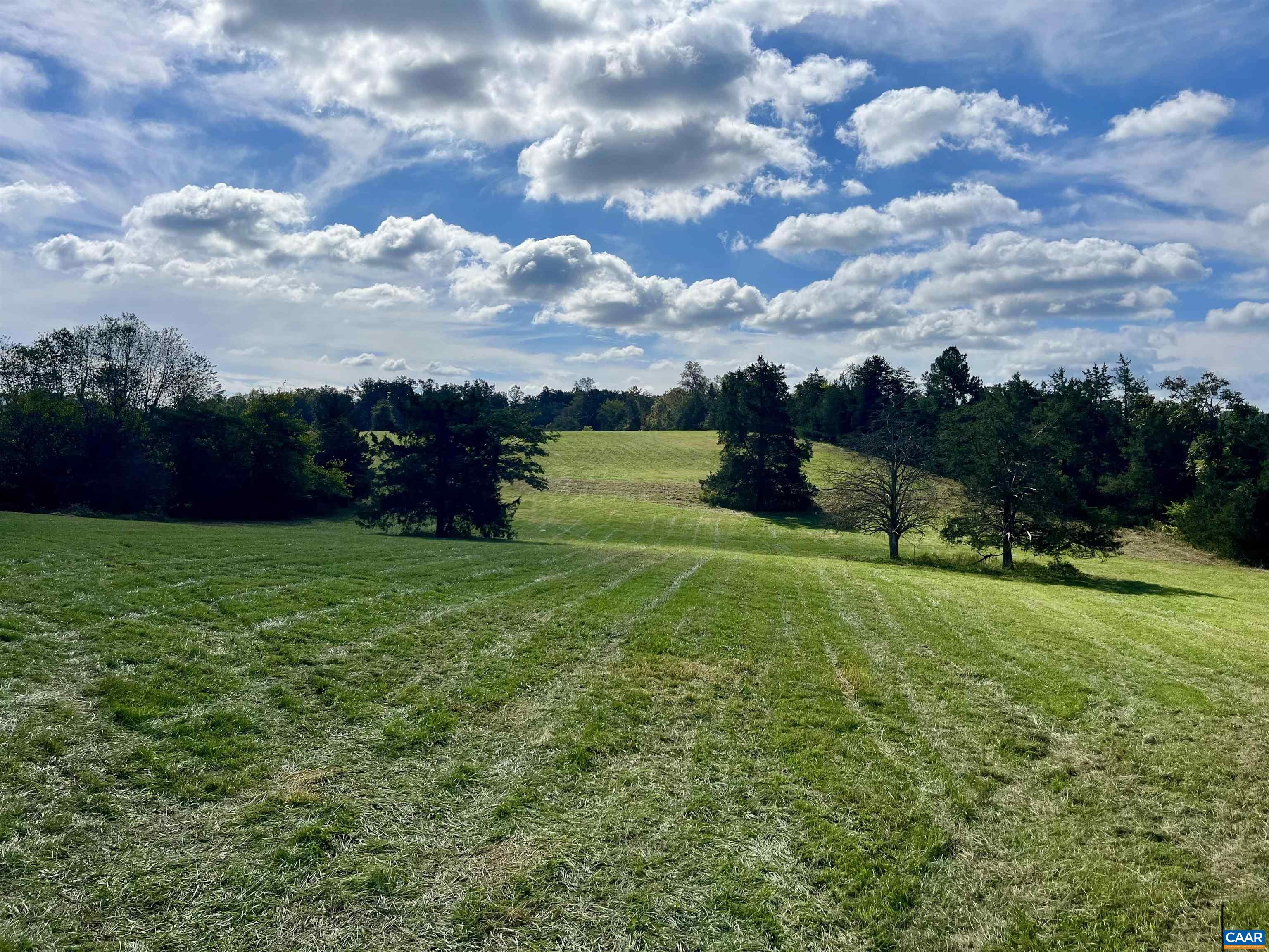 Midway Road Charlottesville, VA 22903 - Photo 6 of 54