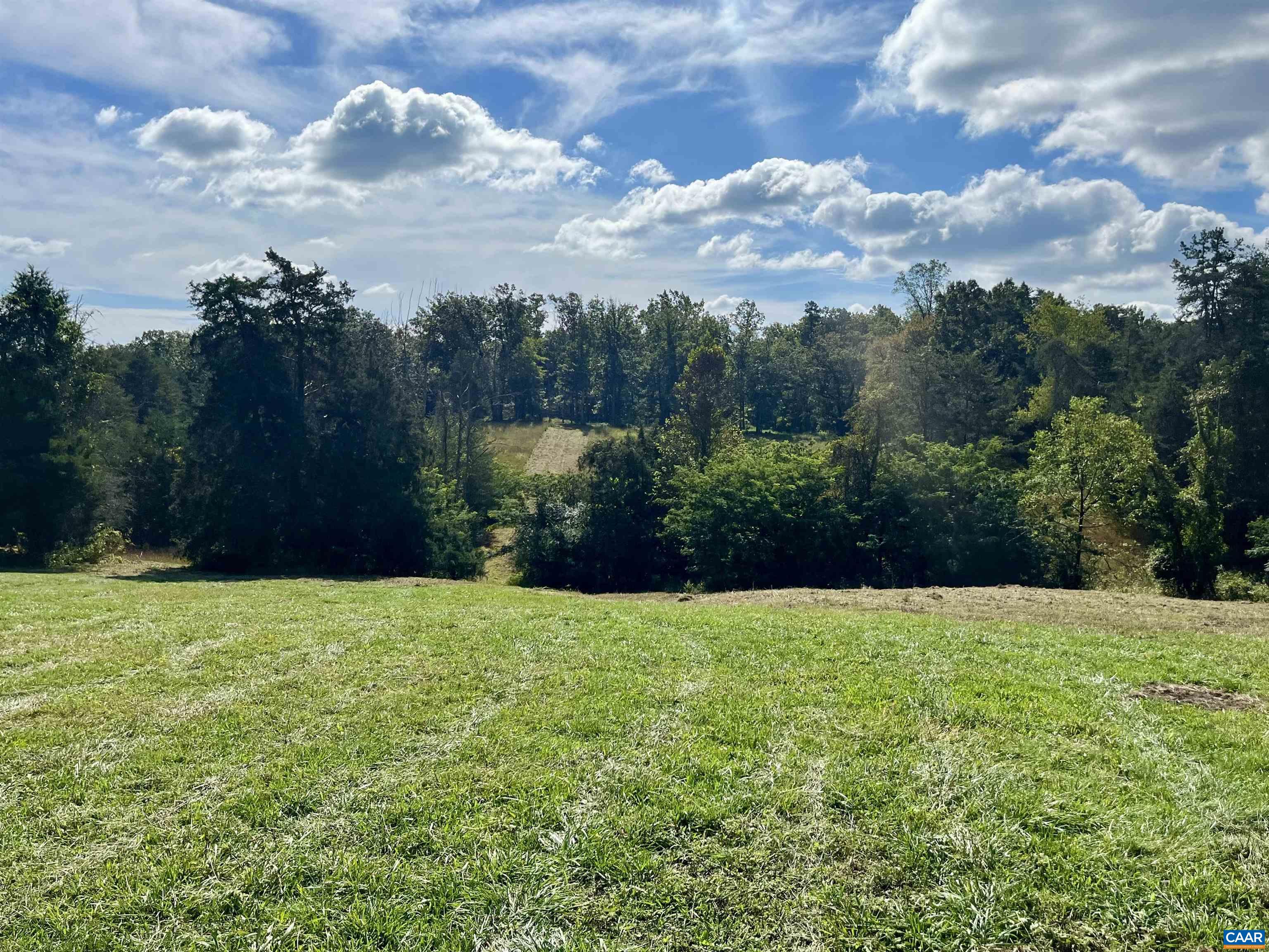 Midway Road Charlottesville, VA 22903 - Photo 10 of 54