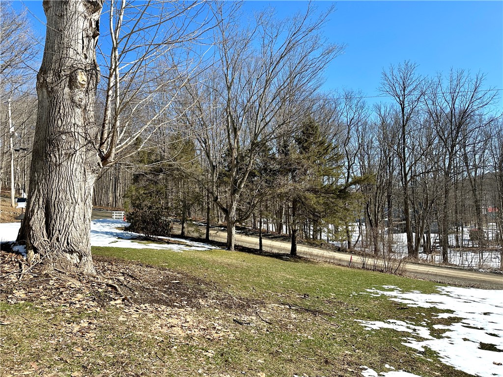 11535 Black Lock Road Prattsburgh, NY 14512 - Photo 8 of 37