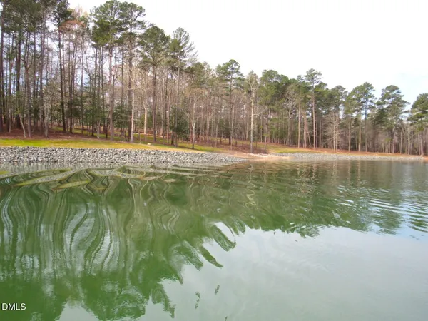 a view of a lake with a mountain in the background
