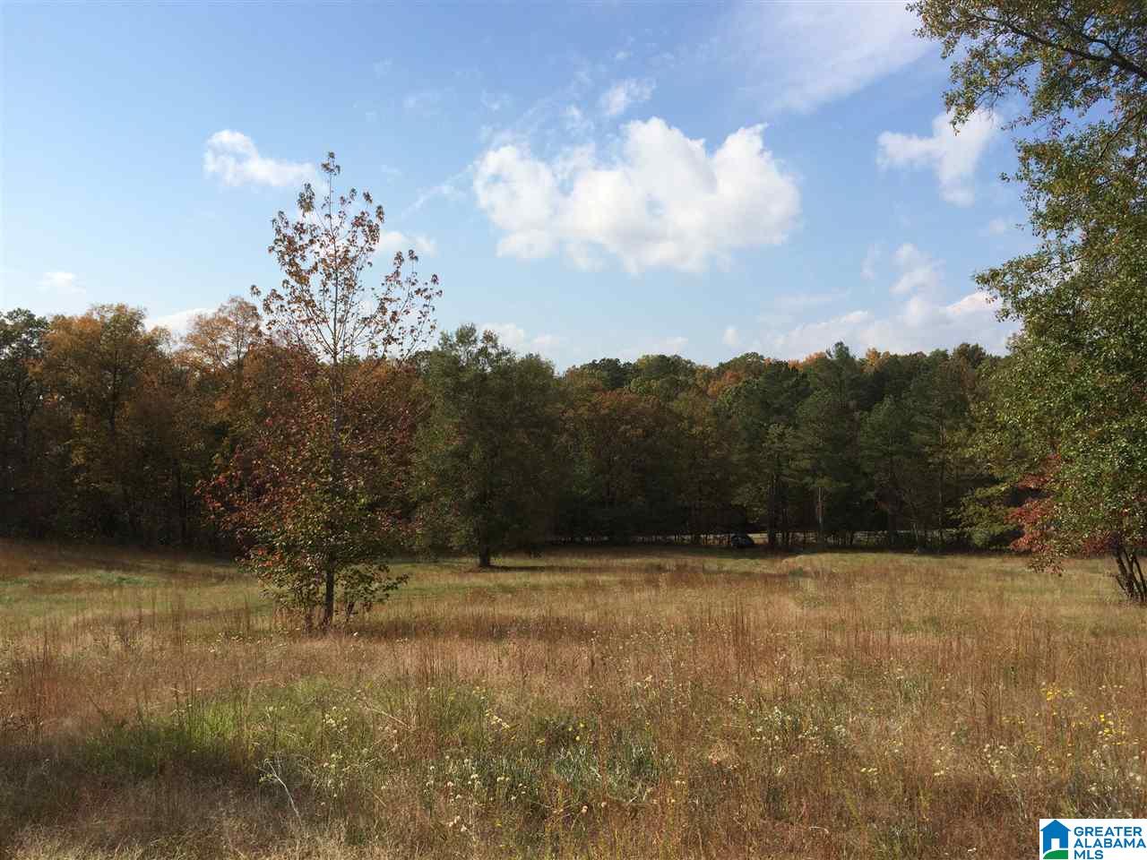2096 Coldwater Road, Unit 3 Anniston, AL 36201 - Photo 10 of 13