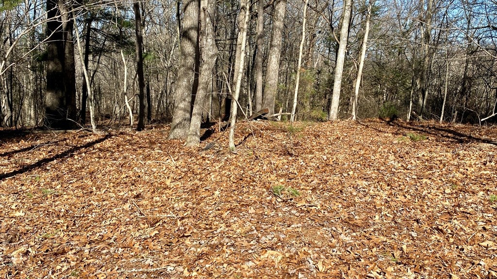 309 Sunny Road Max Meadows, VA 24360 - Photo 34 of 39 Gallery Image 34