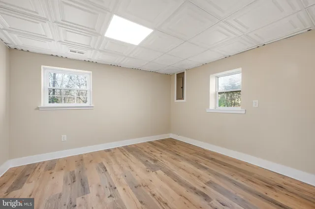 a view of a backyard with trees