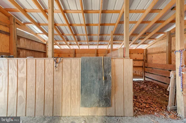 a view of a backyard with large trees